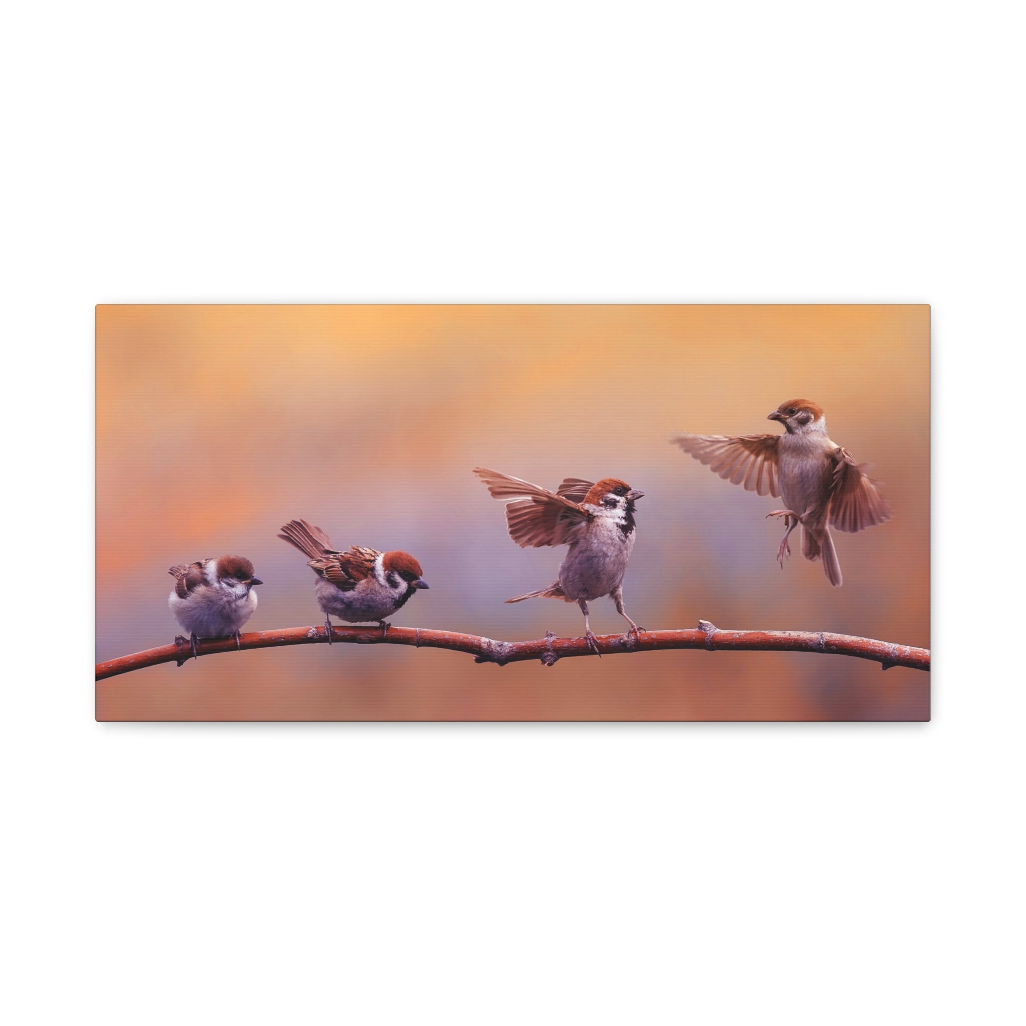 canvas-wall-art-sparrow-bird-lift-off-birds-lover-farmhouse-decor-matte-canvas-print-nature-wall-art-panoramic-animals