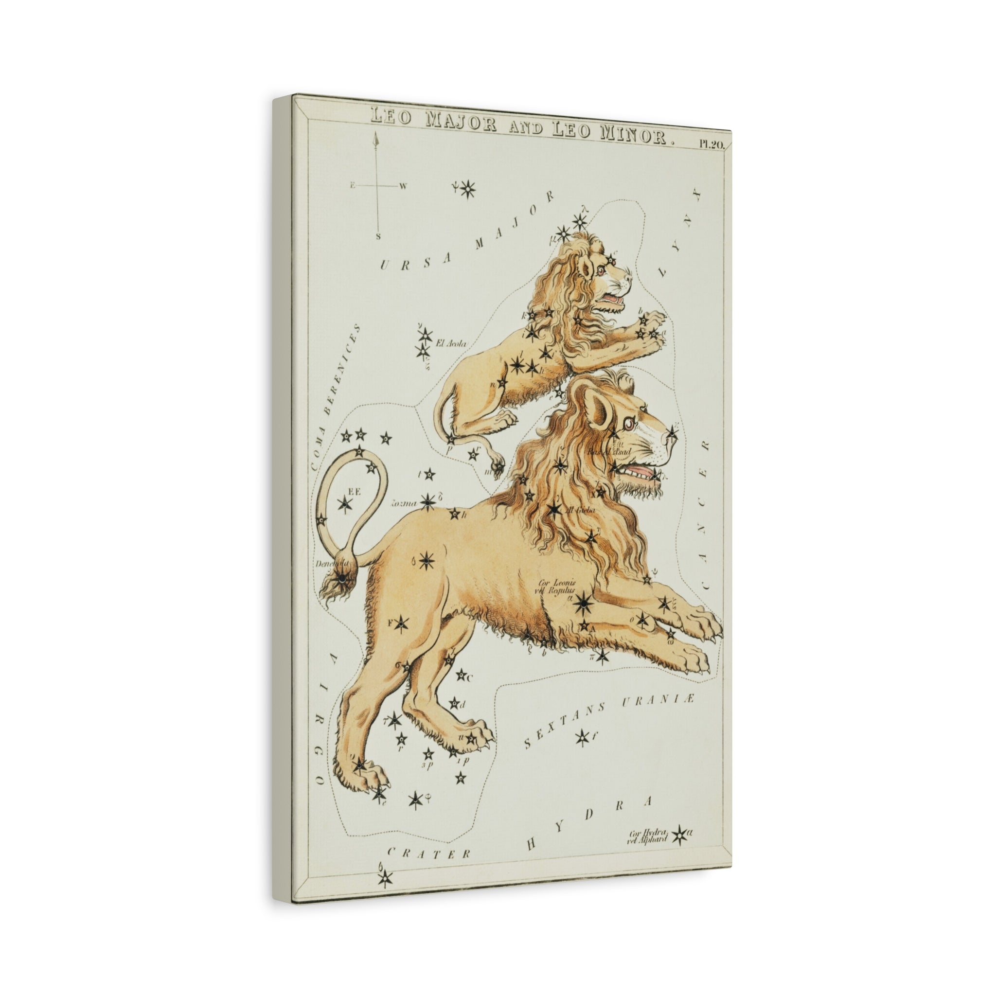 canvas-print-star-map-leo-major-leo-minor-celestial-gift-vintage-map-celestial-map-wall-art-decor-astronomy-decor-constellati