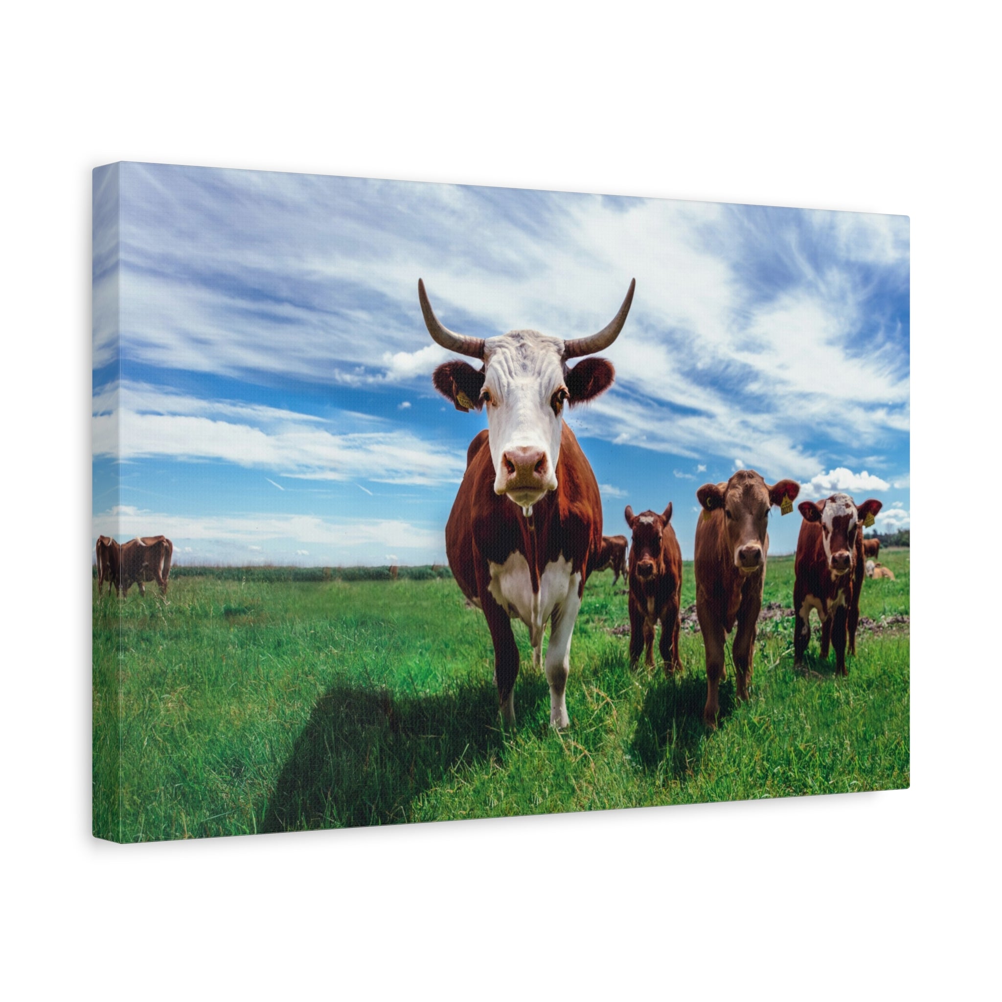 canvas-print-cow-art-home-decor-wall-art-farmhouse-art-living-room-decor-matte-canvas-print-cow-lovers-gift
