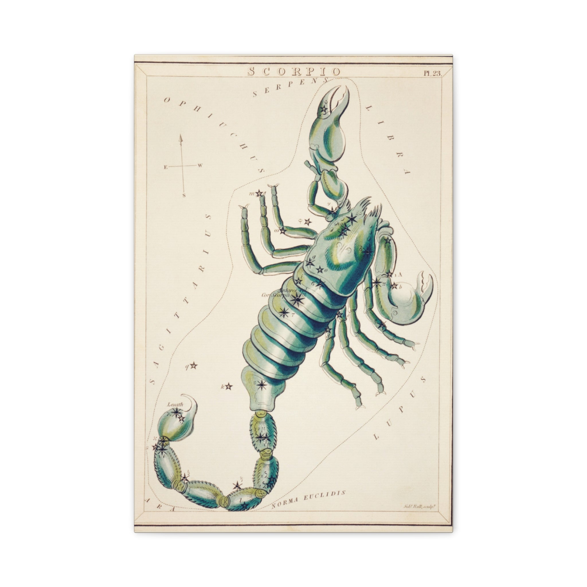 canvas-print-star-map-scorpion-celestial-gift-vintage-map-celestial-map-wall-art-decor-astronomy-decor-constellation-gift
