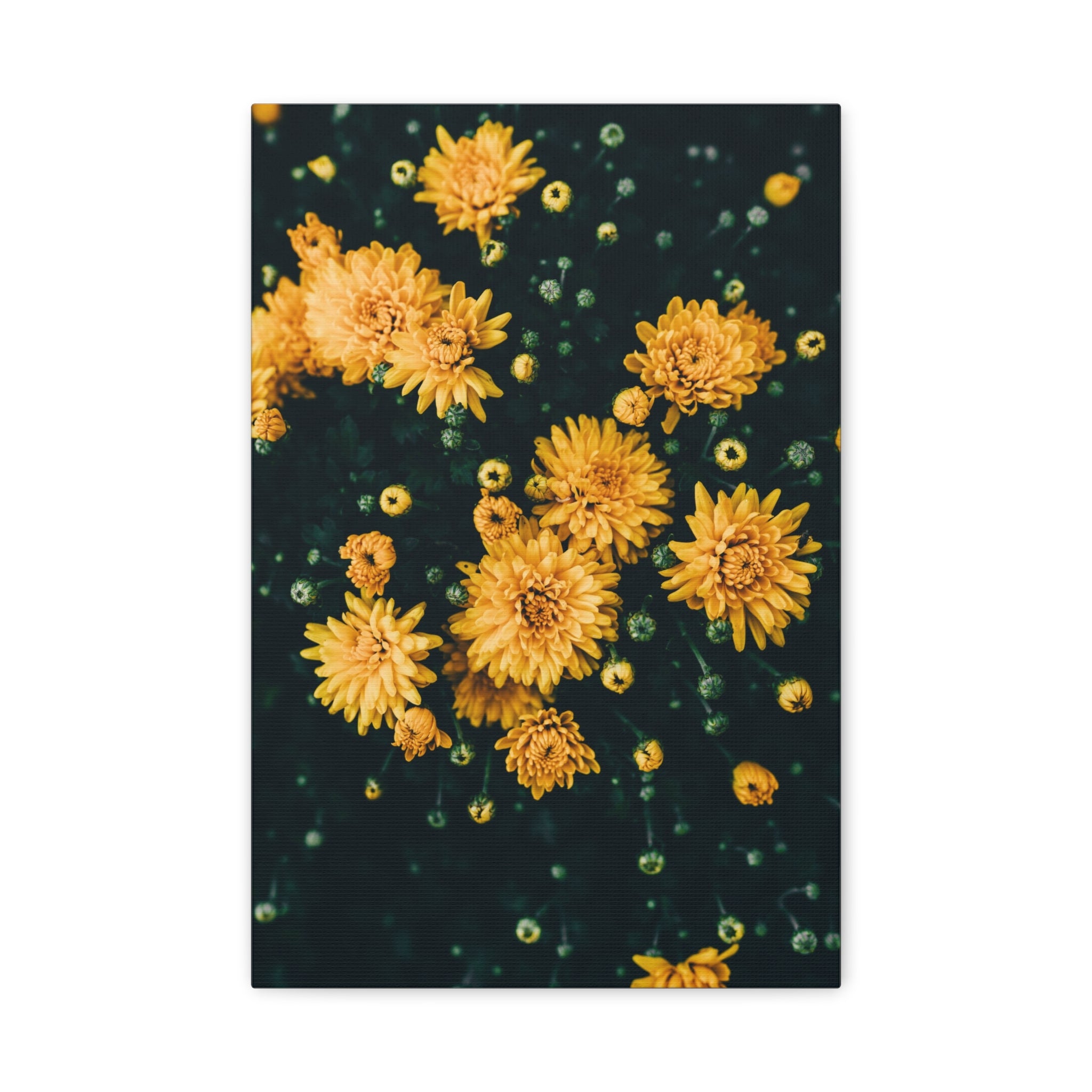 canvas-print-yellow-flower-art-matte-canvas-stretched-wall-decor-floral-home-decor-gift-bright-botanical-art-print-gallery-wr