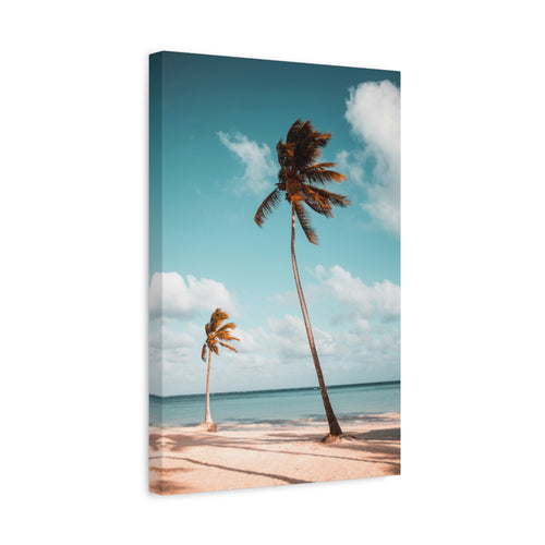 palm-tree-canvas-print-palm-tree-decor-wall-art-print-home-decor-palm-tree-fine-art-palm-tree-art-gallery-stretched-canvas-pr