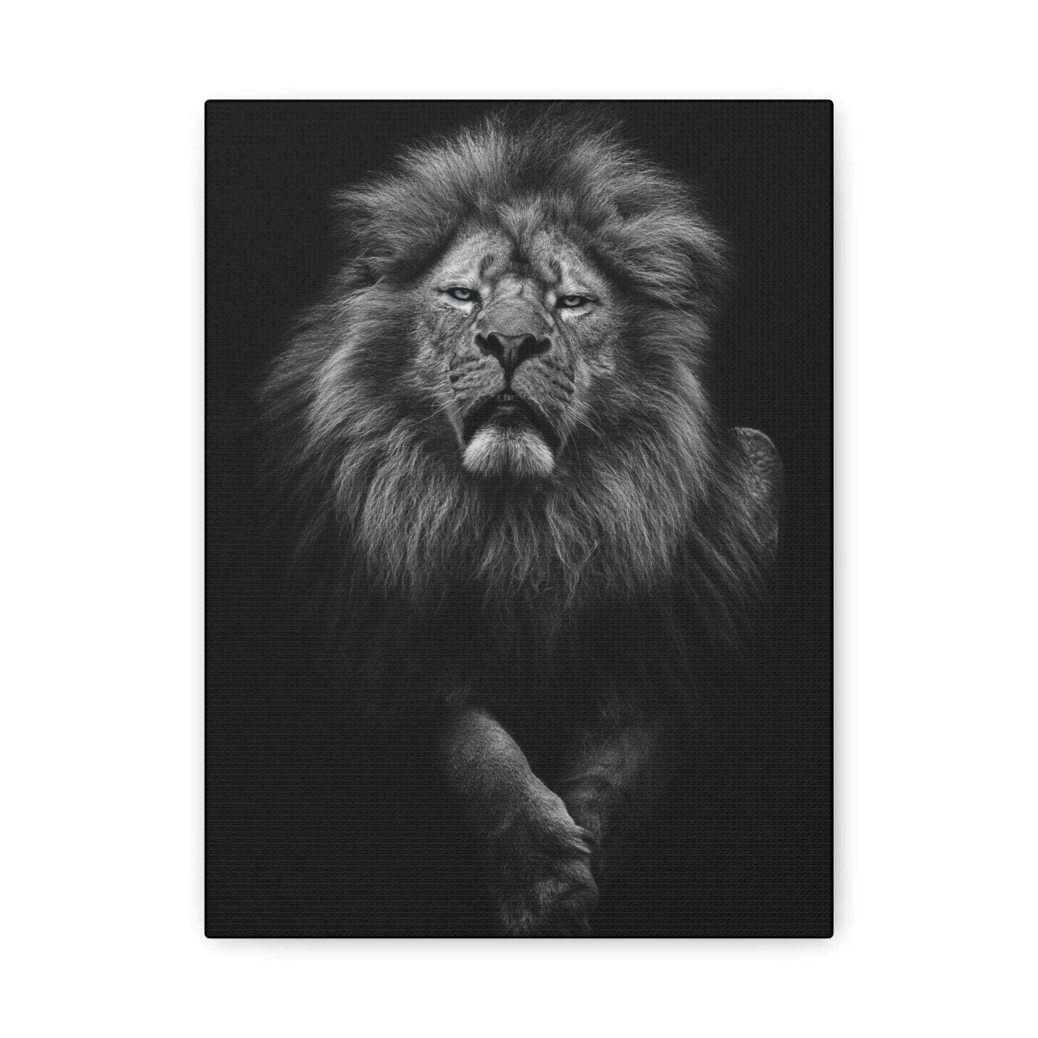 canvas-print-lion-wall-art-black-and-white-living-room-decor-matte-stretched-lion-poster-jungle-animal-art-print-wildlife-saf