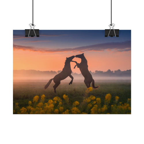 Wild Rising Horses Poster Print, Field of Flowers Decor, Home Decor, Farmhouse Wall Decor, Nature Wall Art, Horse Canvas Print, Mustang