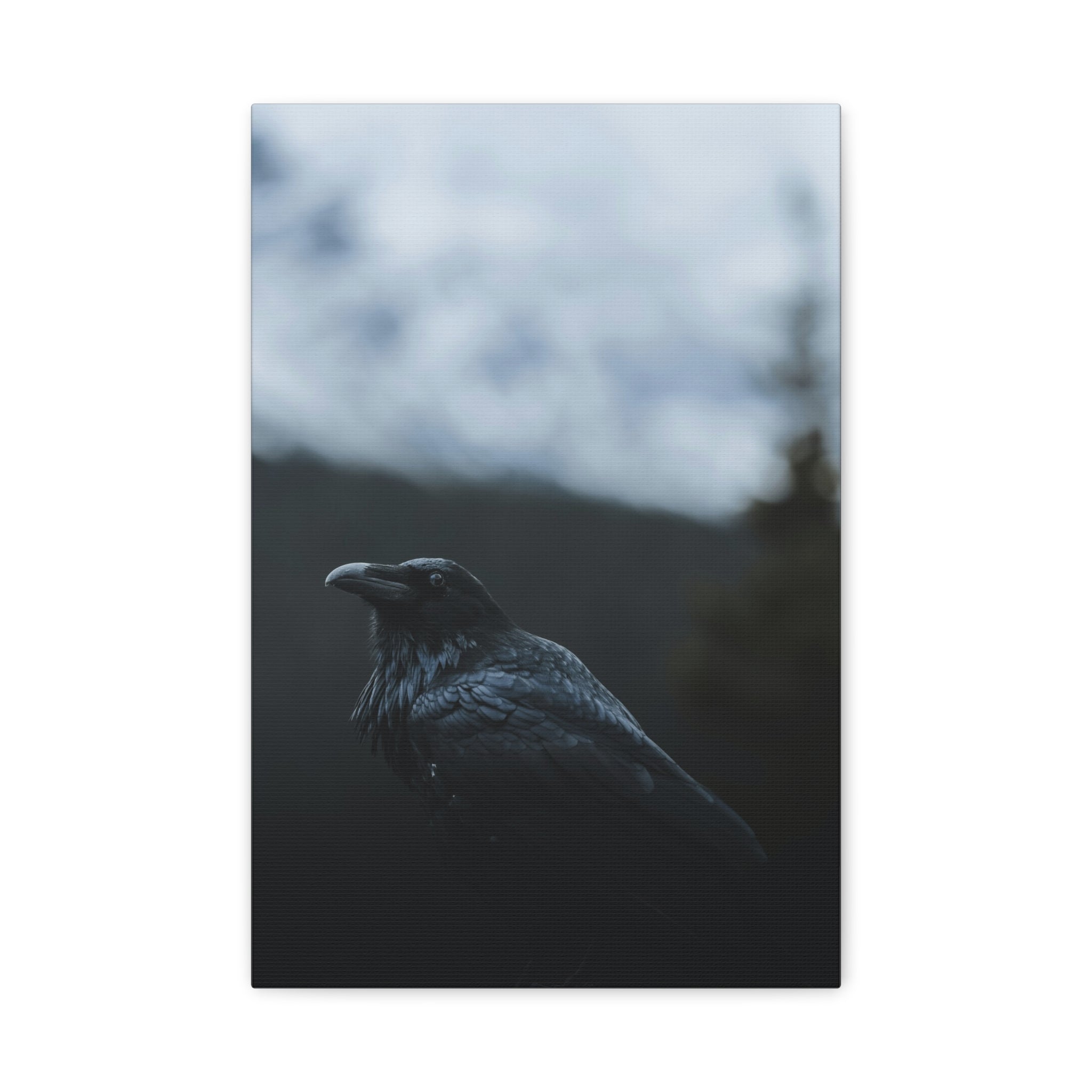 raven-canvas-print-raven-decor-matte-stretched-wall-art-bird-lover-gift-gothic-home-decor-halloween-picture-raven-art-print-1