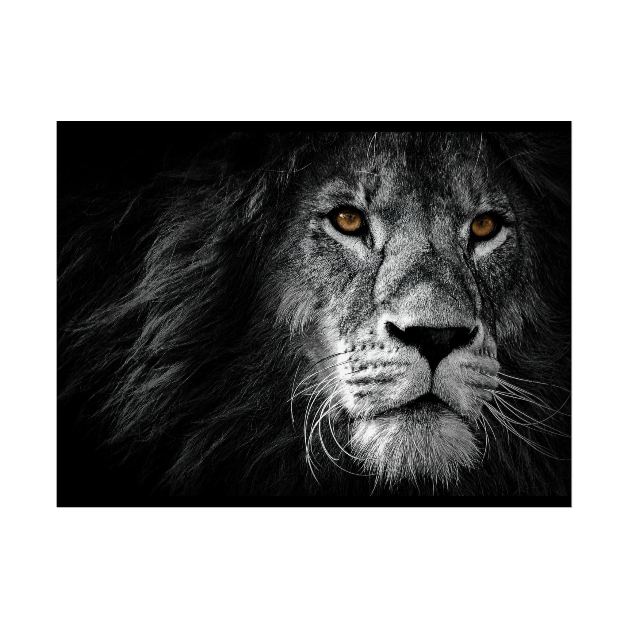 poster-print-lion-wall-art-black-and-white-monochrome-decor-living-room-decor-lion-poster-jungle-animal-art-print-wildlife-sa
