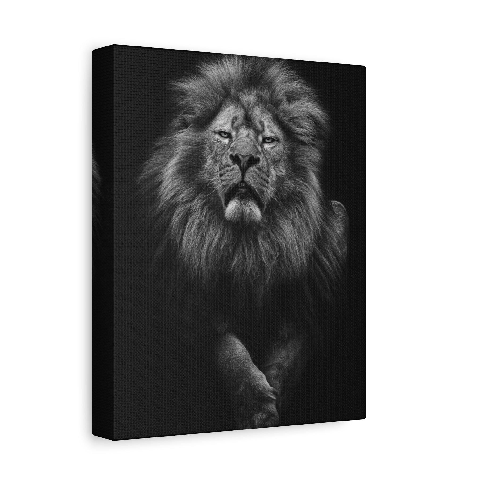 canvas-print-lion-wall-art-black-and-white-living-room-decor-matte-stretched-lion-poster-jungle-animal-art-print-wildlife-saf
