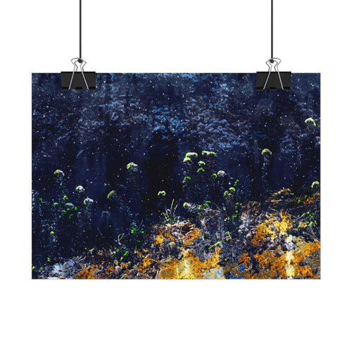 wild-flower-market-poster-print-floral-home-decor-vintage-botanical-landscape-farm-house-wall-art-field-of-flowers-print