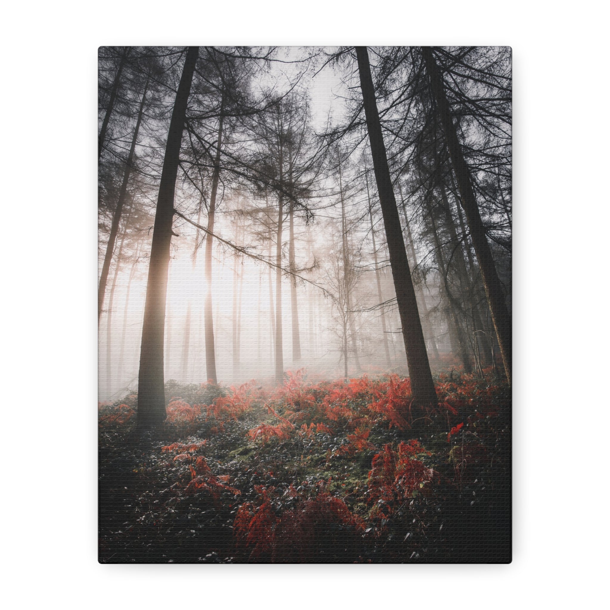 canvas-print-misty-woods-art-living-room-wall-decor-sunlight-forest-landscape-aesthetic-nature-art-stretched-artwork-matte-ca