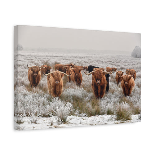 canvas-wall-art-scottish-highland-cow-longhorn-home-decor-stretched-matte-canvas-print-wall-hanging-farmhouse-art-rustic