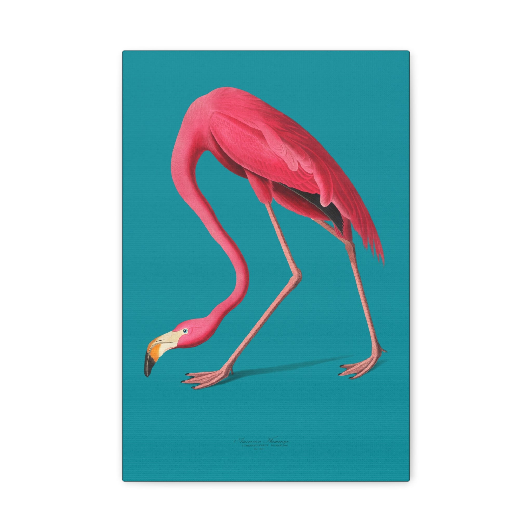 canvas-print-pink-flamingo-wall-art-vintage-home-decor-living-room-decor-stretched-canvas-art-pink-wall-art-flamingo-illustra
