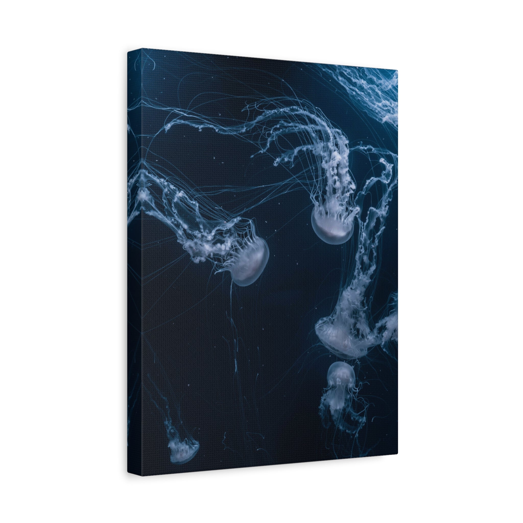 canvas-print-jellyfish-wall-art-wall-hanging-matte-canvas-ocean-life-deep-ocean-decor-home-decor-housewarming-gift