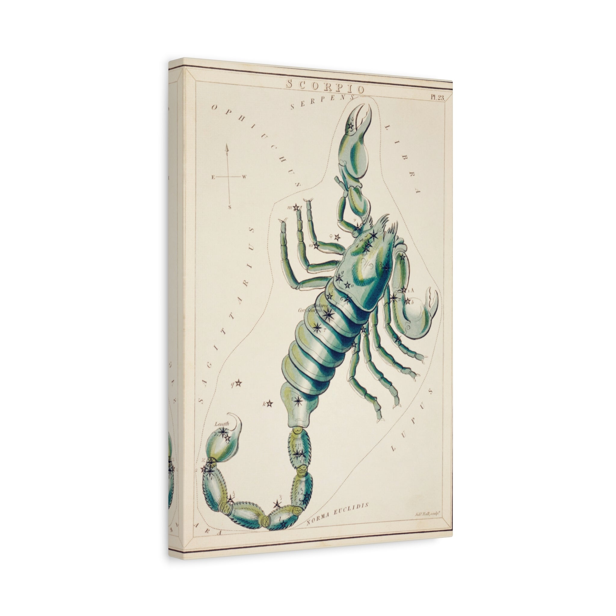 canvas-print-star-map-scorpion-celestial-gift-vintage-map-celestial-map-wall-art-decor-astronomy-decor-constellation-gift