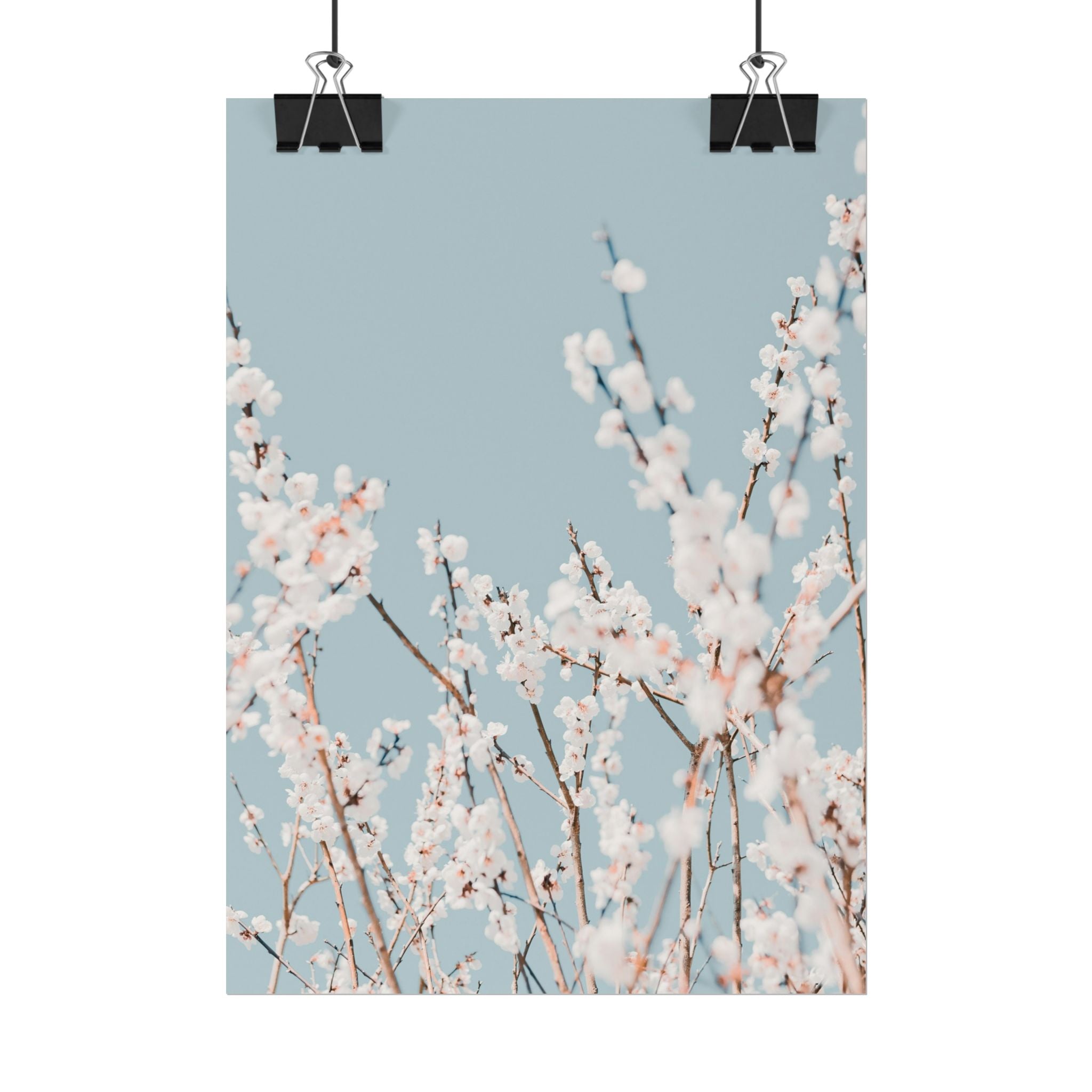 blossom-flowers-poster-print-minimalist-aesthetic-wall-art-fine-art-paper-home-decor-floral-decor-elegant-artwork
