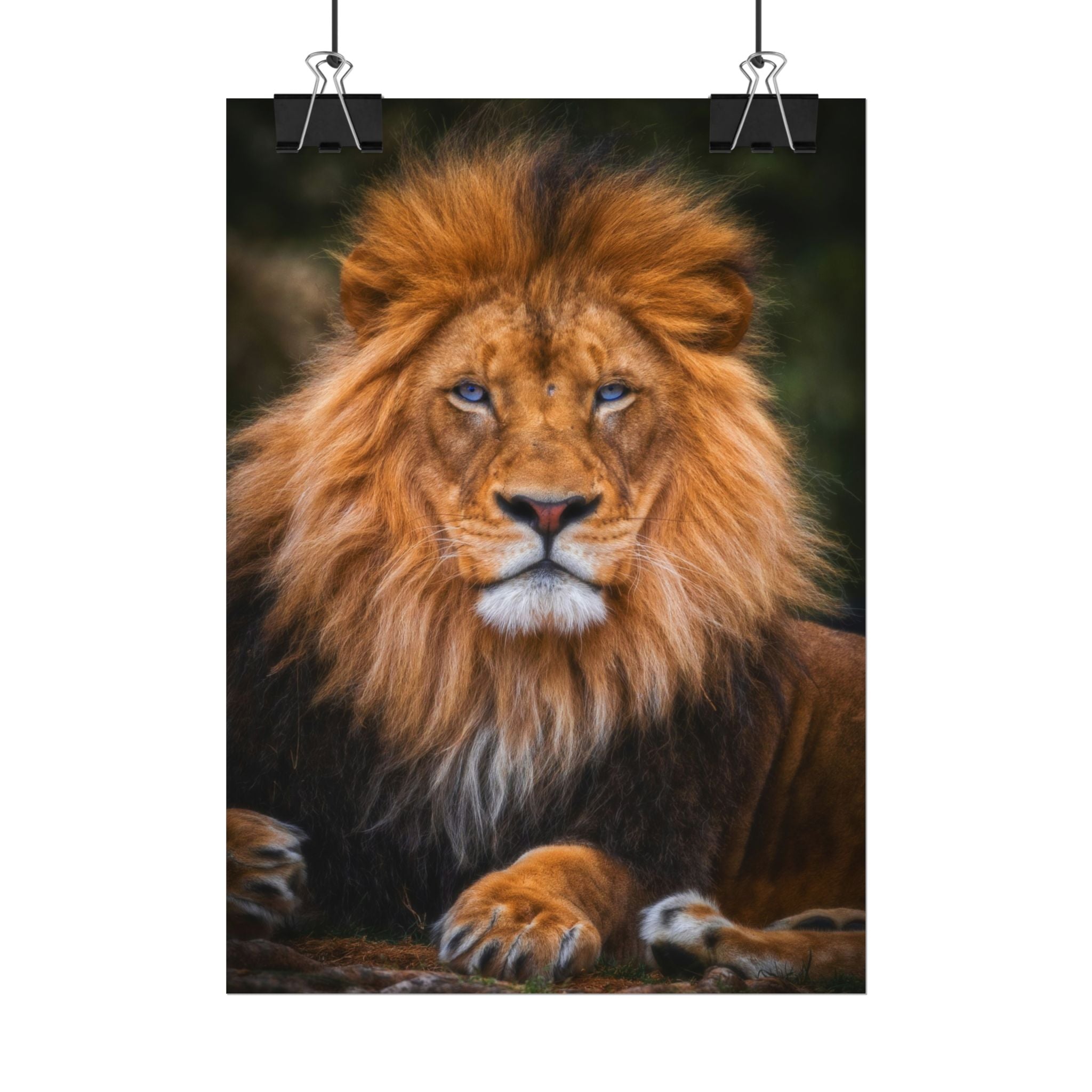 blue-eyed-lion-poster-wall-art-wildlife-home-decor-animal-lover-gift-safari-decoration-wildlife-art-print-lion-wall-decor
