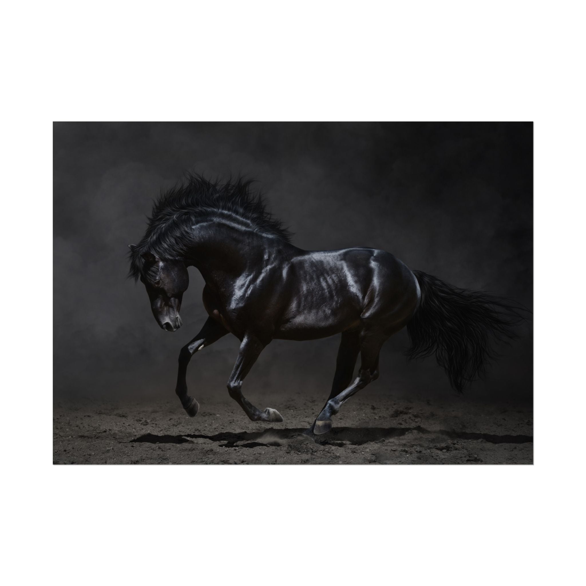 majestic-black-horse-poster-print-wall-art-for-horse-lovers-farmhouse-decor-horse-photography-horse-print-aesthetic-wall-deco