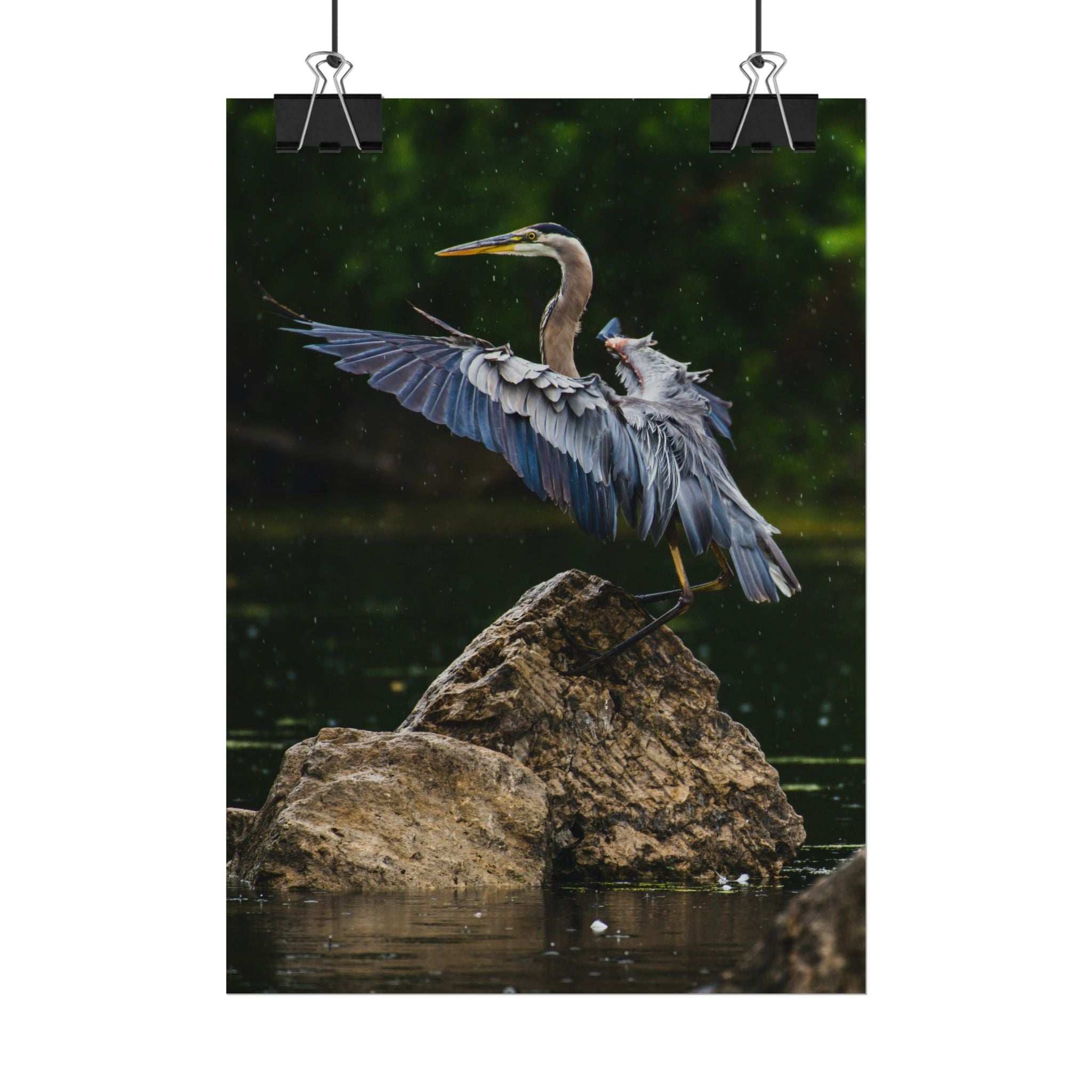great-blue-heron-poster-wall-art-home-decor-bird-lover-gift-nature-wall-hanging-wildlife-poster