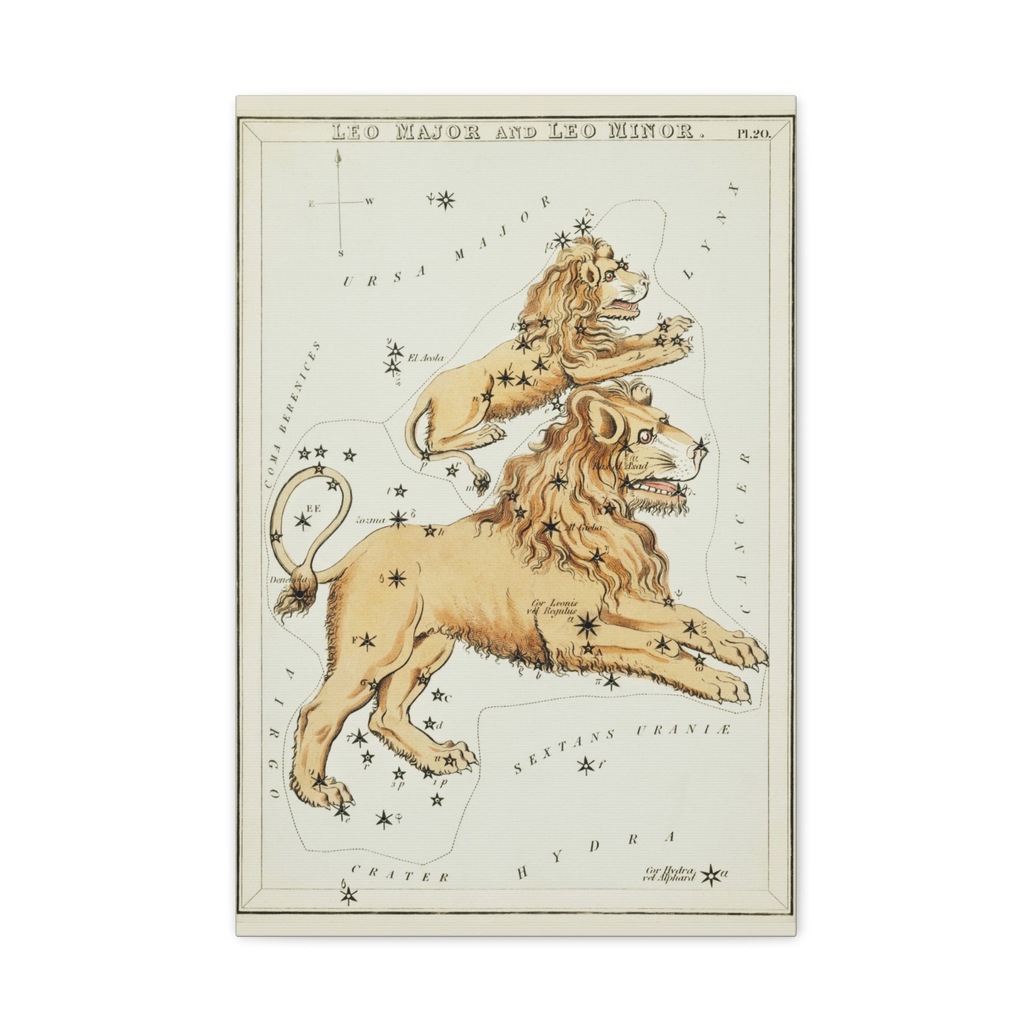 canvas-print-star-map-leo-major-leo-minor-celestial-gift-vintage-map-celestial-map-wall-art-decor-astronomy-decor-constellati