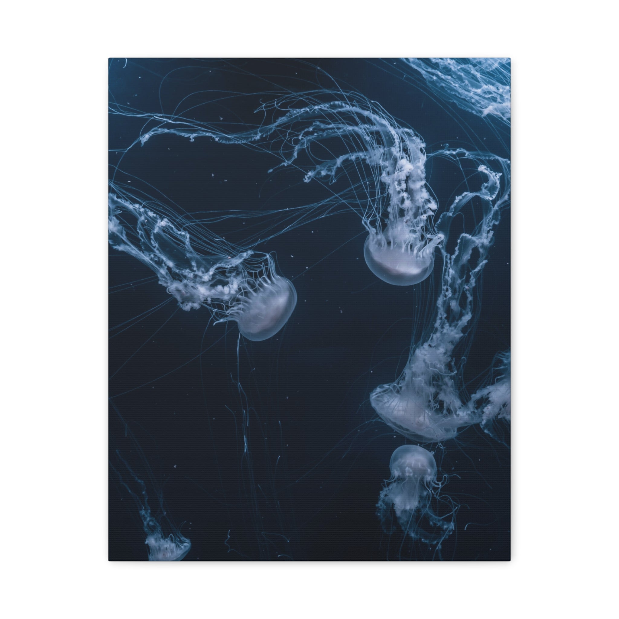 canvas-print-jellyfish-wall-art-wall-hanging-matte-canvas-ocean-life-deep-ocean-decor-home-decor-housewarming-gift