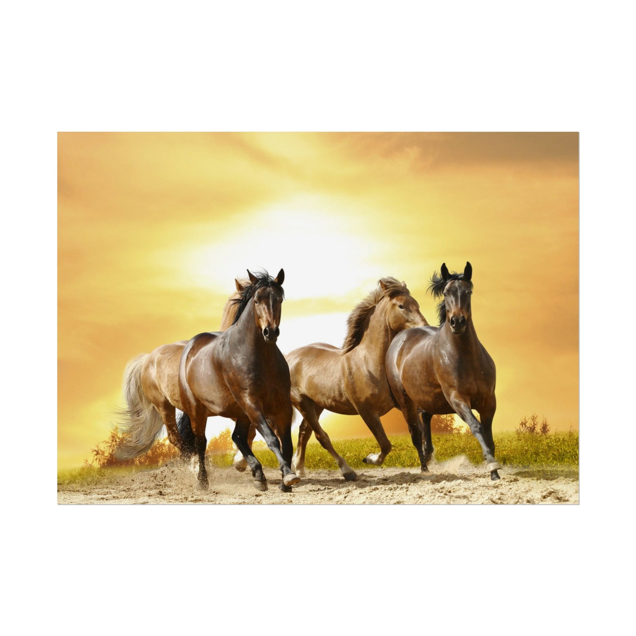 running-horse-poster-wall-art-farmhouse-wall-decor-home-decor-housewarming-gift-horse-print-wall-print-wild-animals