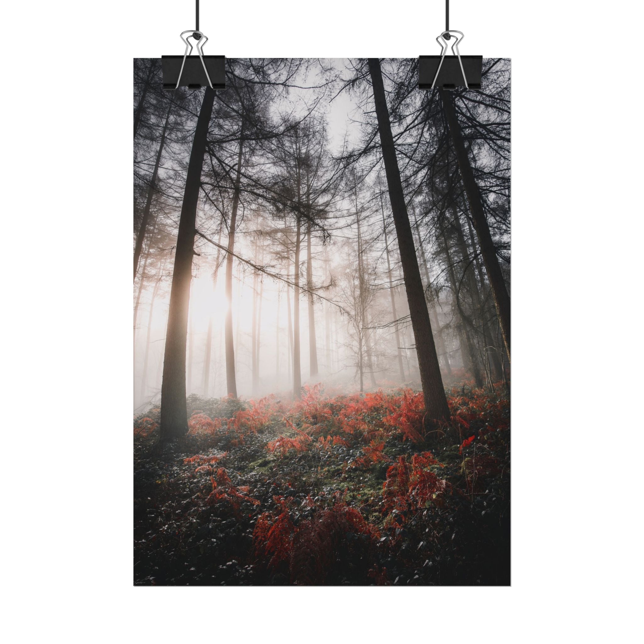 poster-print-misty-woods-art-living-room-wall-decor-sunlight-forest-landscape-aesthetic-nature-art-nature-artwork-poster-gift