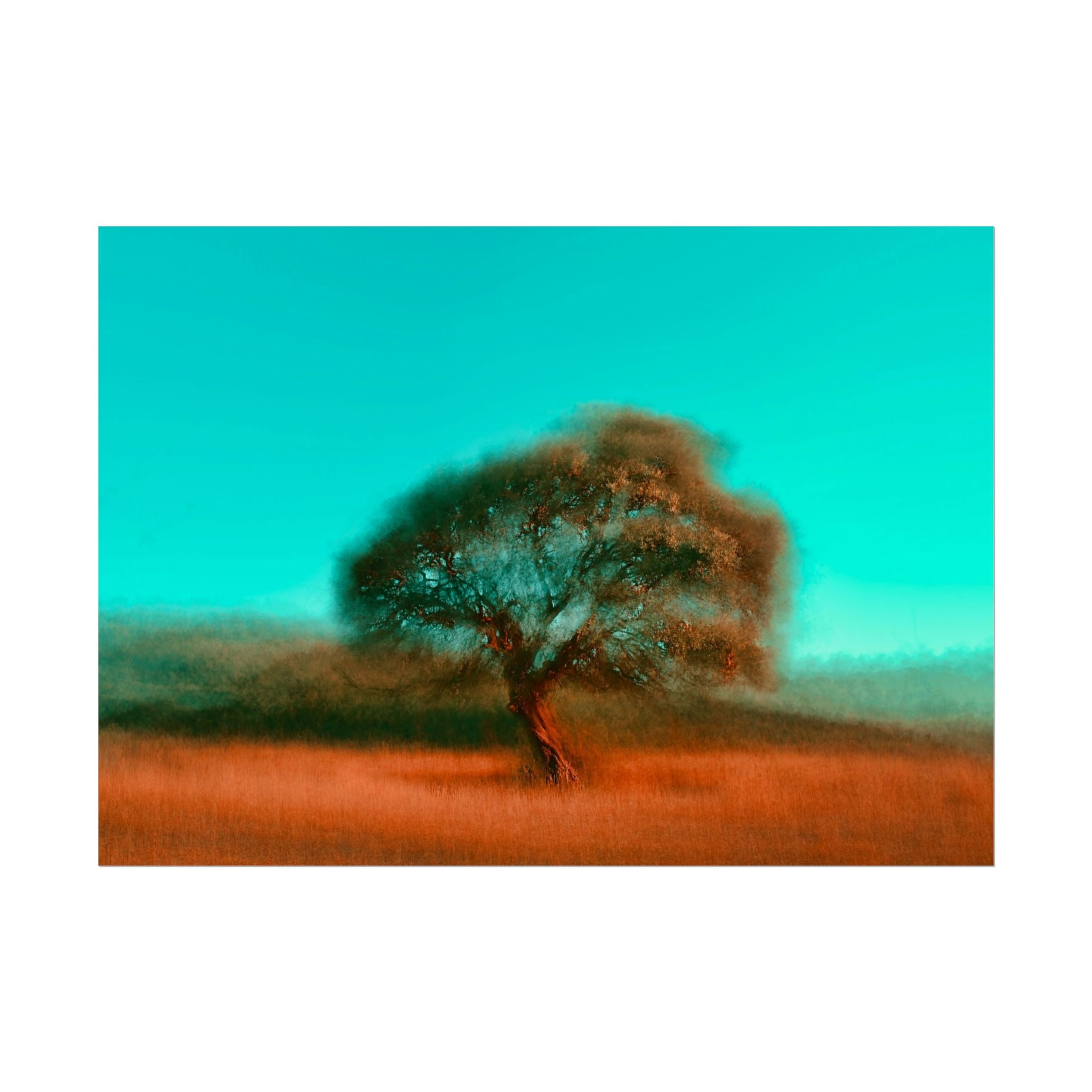 tree-photography-poster-print-rustic-nature-wall-decor-fine-art-paper-print-gift-for-nature-lover-home-office-decor-wall-art-