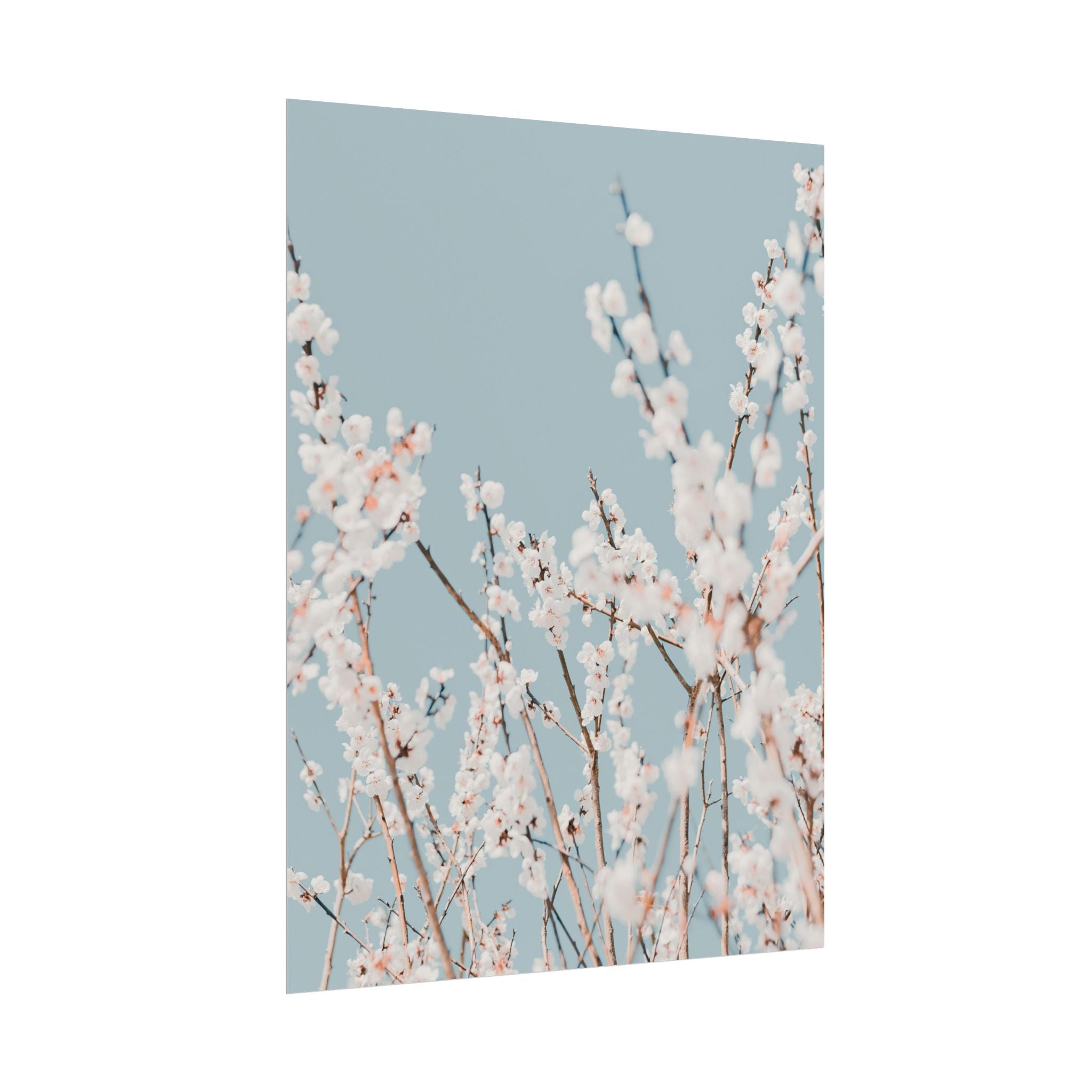 blossom-flowers-poster-print-minimalist-aesthetic-wall-art-fine-art-paper-home-decor-floral-decor-elegant-artwork