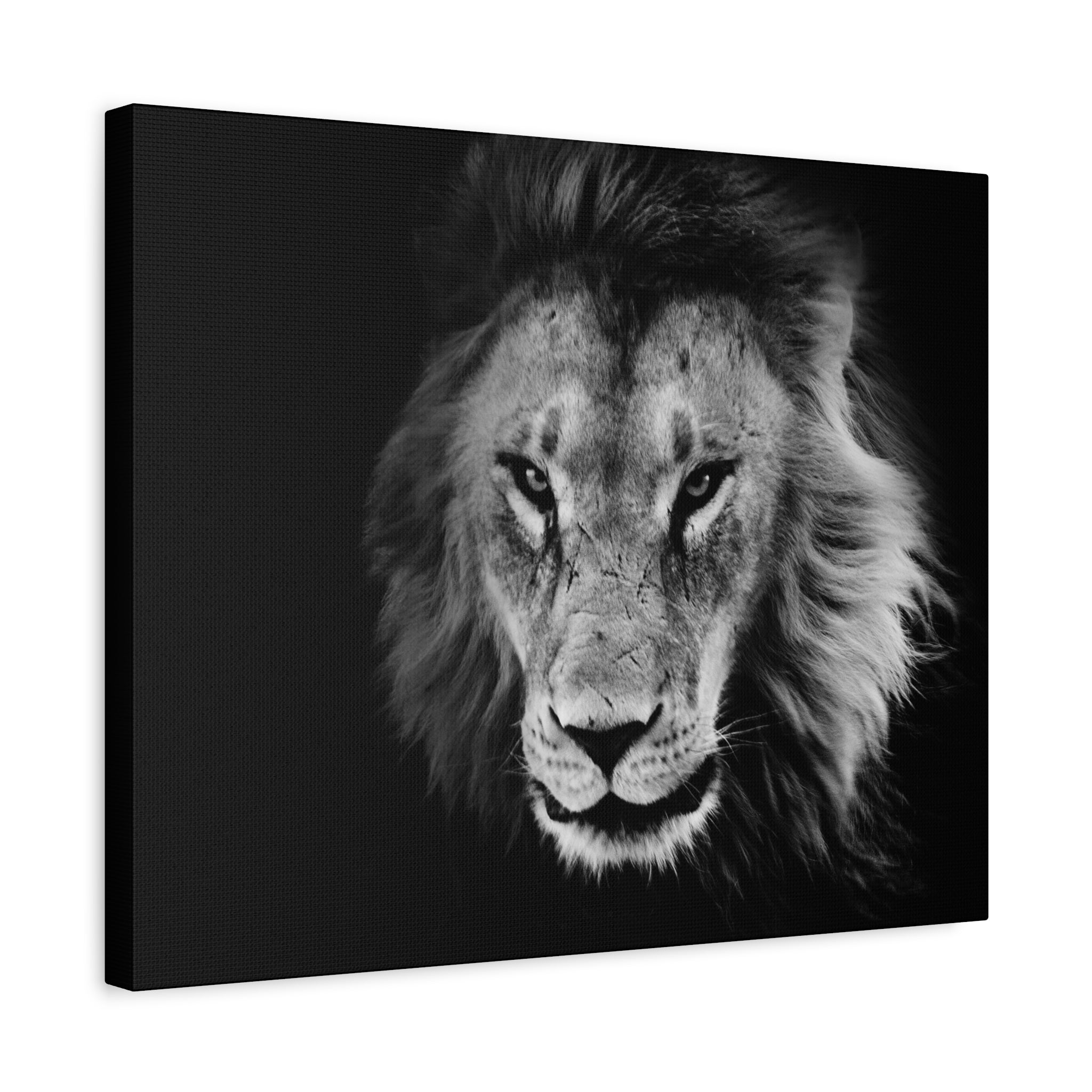 canvas-print-lion-wall-art-black-and-white-living-room-decor-matte-stretched-lion-poster-jungle-animal-art-print-wildlife-saf
