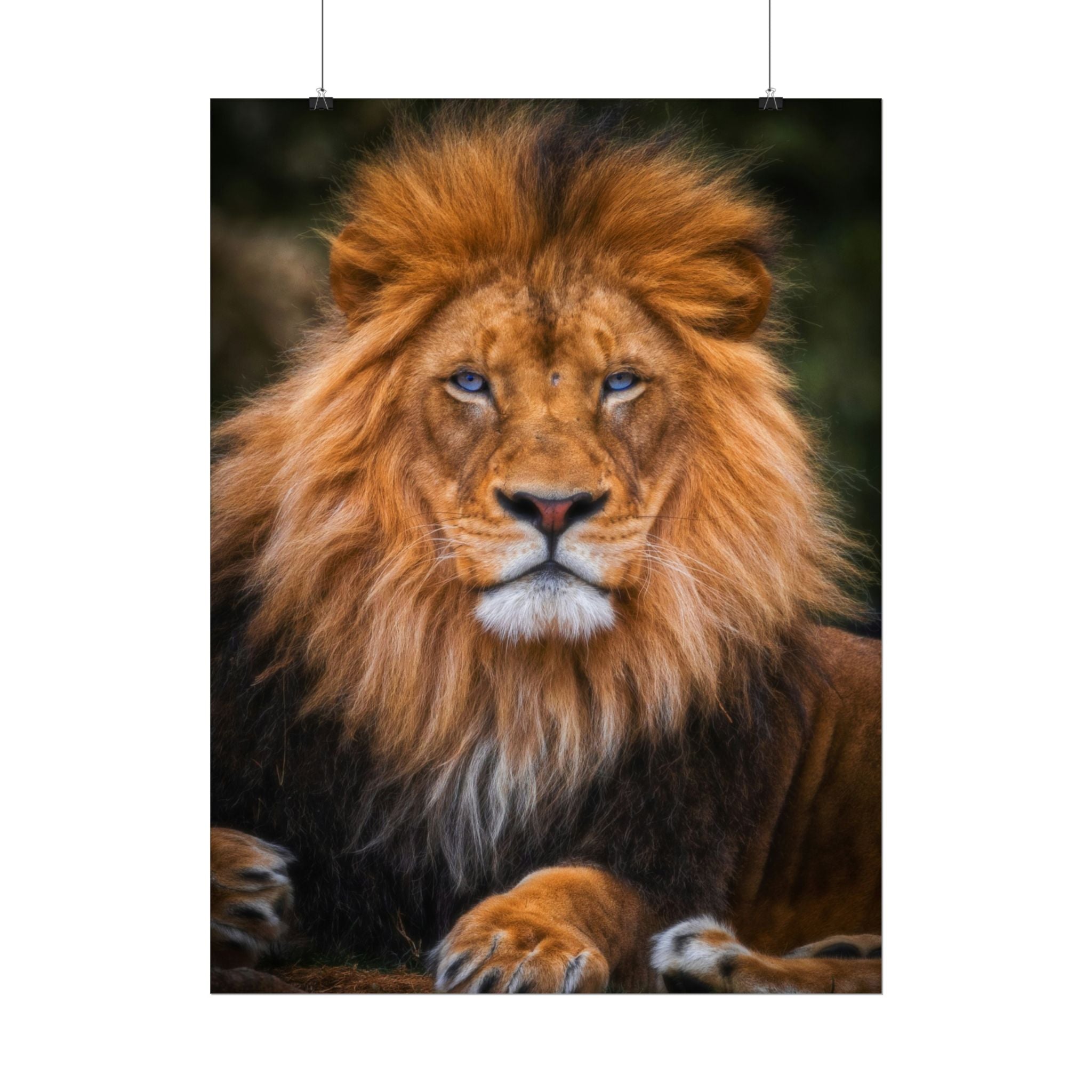 blue-eyed-lion-poster-wall-art-wildlife-home-decor-animal-lover-gift-safari-decoration-wildlife-art-print-lion-wall-decor