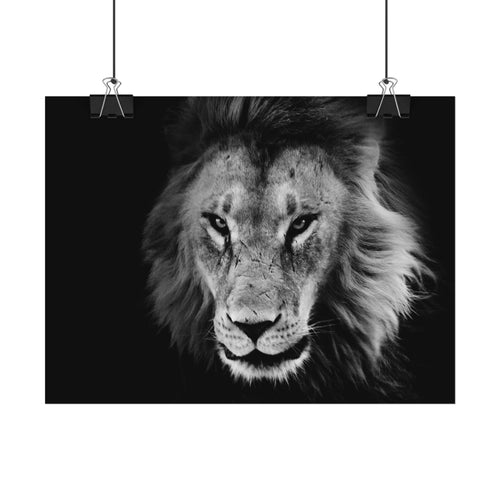 Lion Poster Wall Art, Black and White Living Room Decor, Monochrome Art, Lion Poster, Jungle Animal Art Print, Wildlife Safari