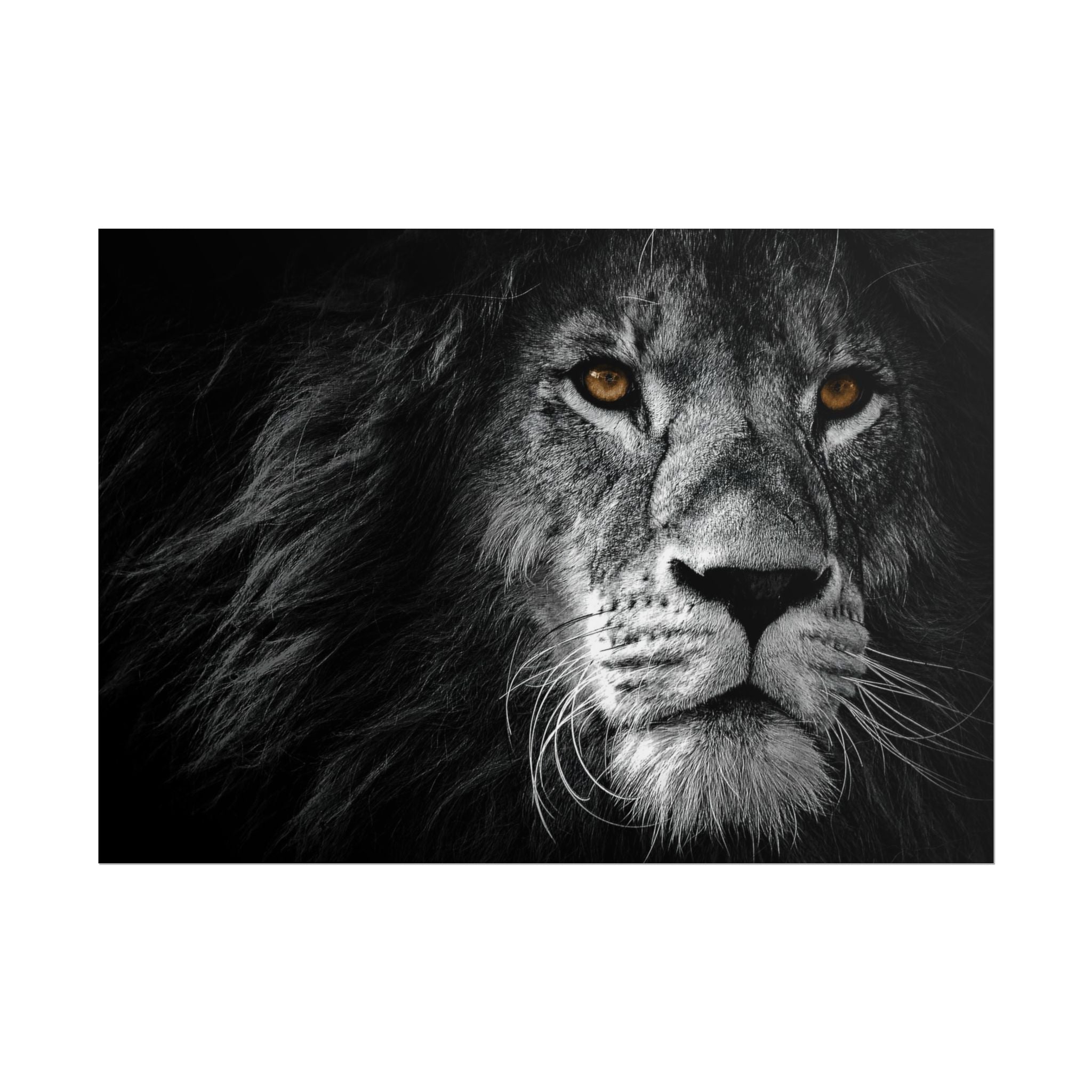 poster-print-lion-wall-art-black-and-white-monochrome-decor-living-room-decor-lion-poster-jungle-animal-art-print-wildlife-sa