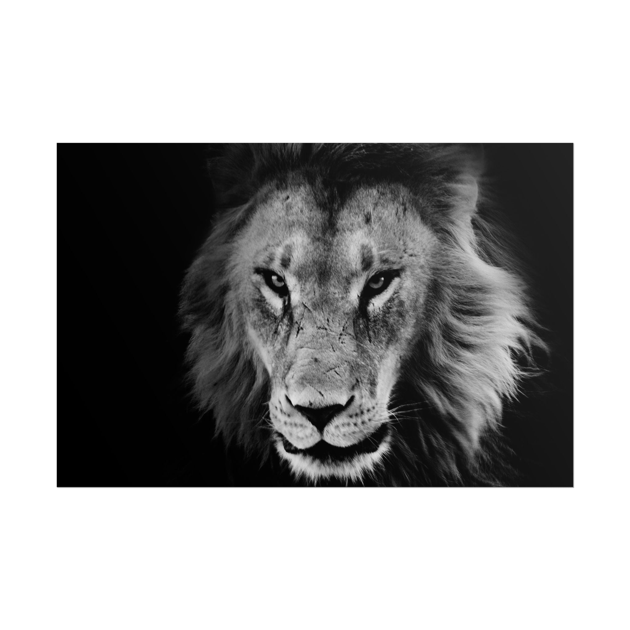 poster-print-lion-wall-art-black-and-white-living-room-decor-monochrome-art-lion-poster-jungle-animal-art-print-wildlife-safa