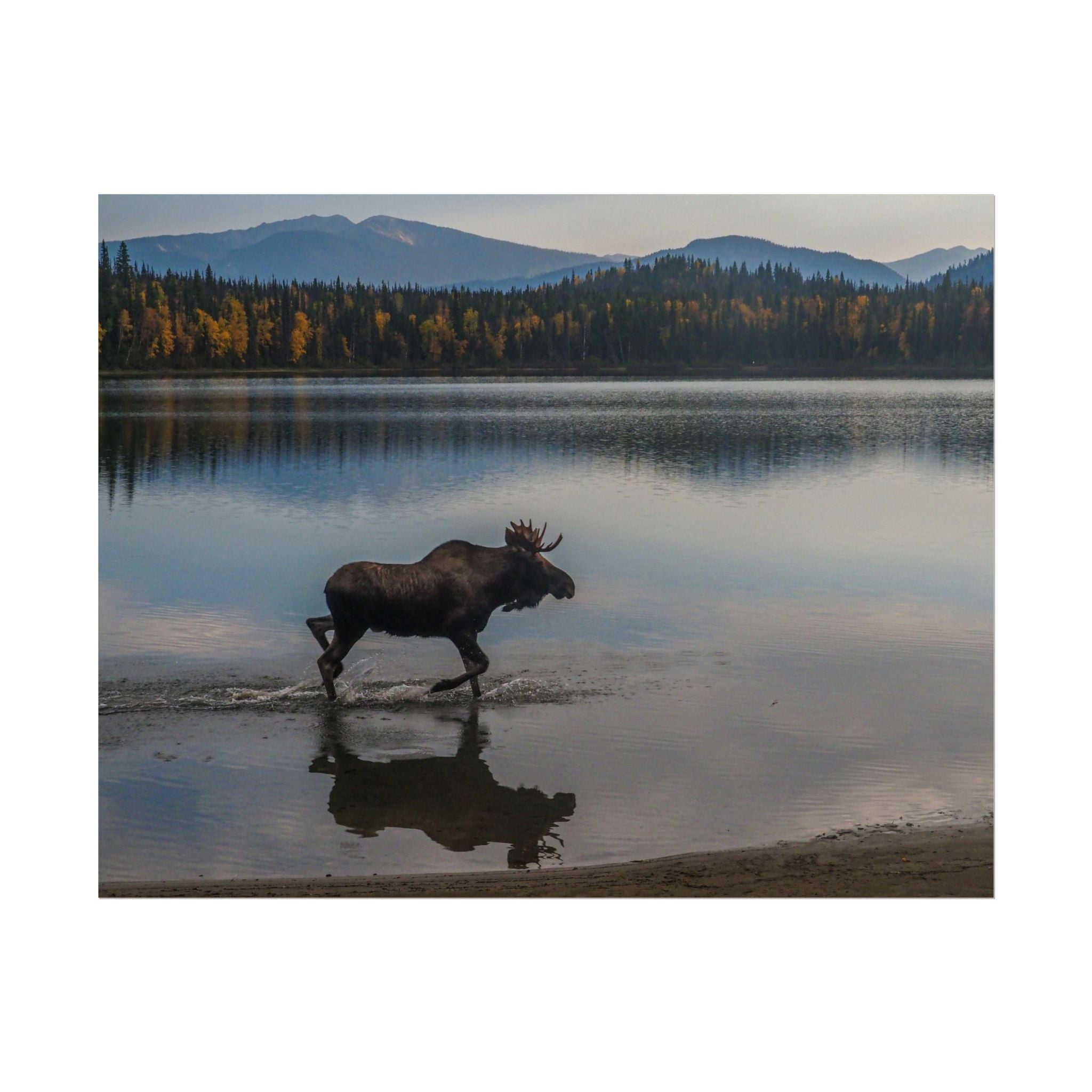 rustic-moose-poster-wall-decor-cabin-lodge-wildlife-painting-nature-home-decor-wilderness-animal-poster-farmhouse-wall-art