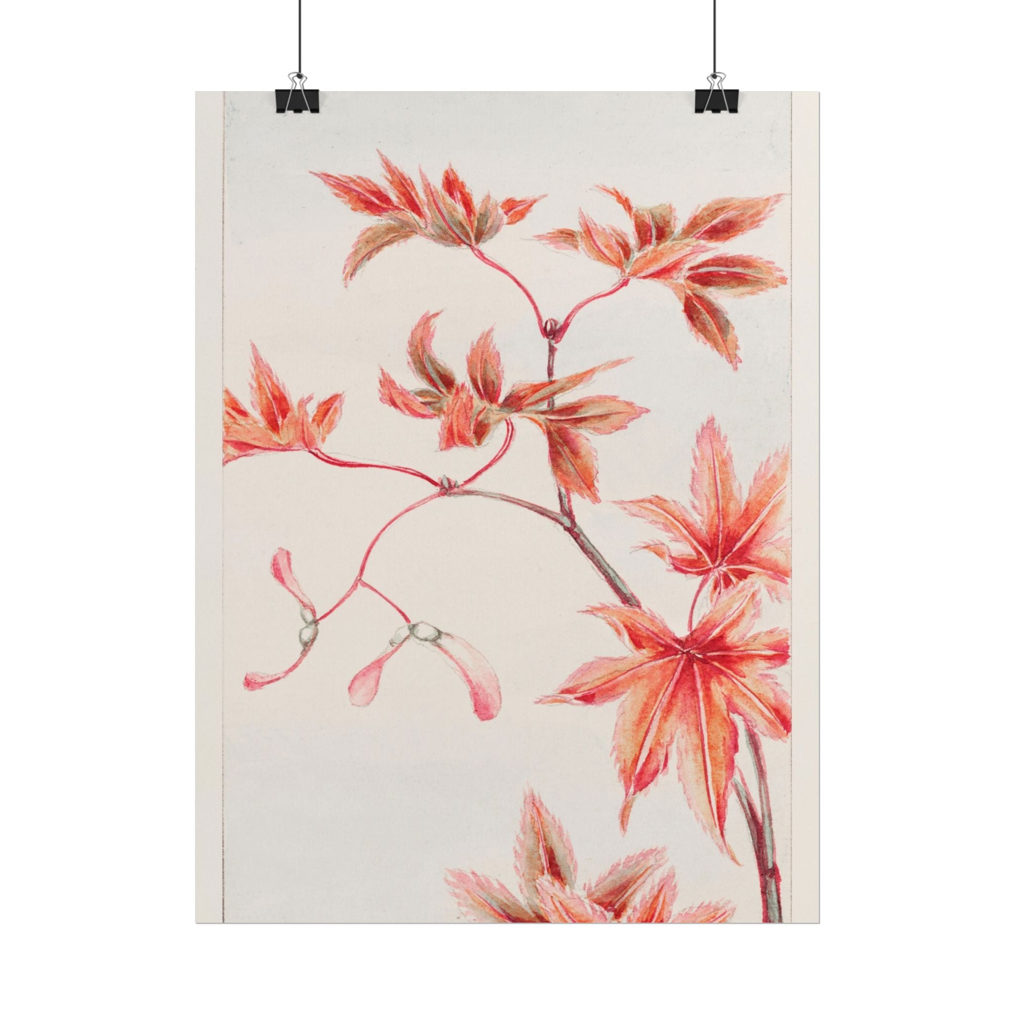 poster-print-branch-of-momiji-maple-tree-with-leaves-floral-wall-art-rolled-posters-wall-decor-room-decoration-nature-art-bot