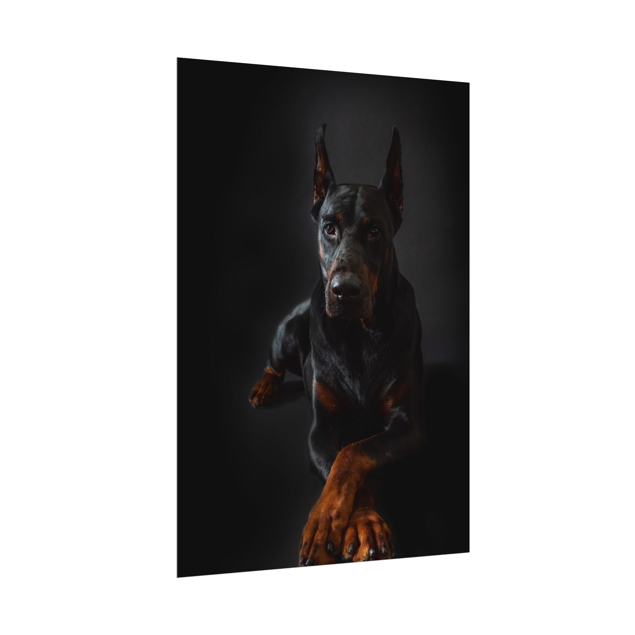 doberman-pincher-poster-print-rolled-posters-wall-art-home-decor-dog-lover-gift-animal-art-room-decoration