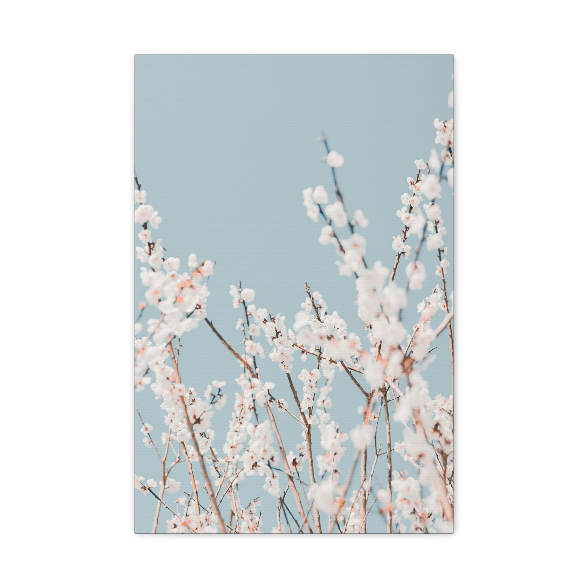 canvas-print-blossom-flowers-minimalist-aesthetic-wall-art-matte-stretched-1-25in-home-decor-floral-decor-elegant-artwork
