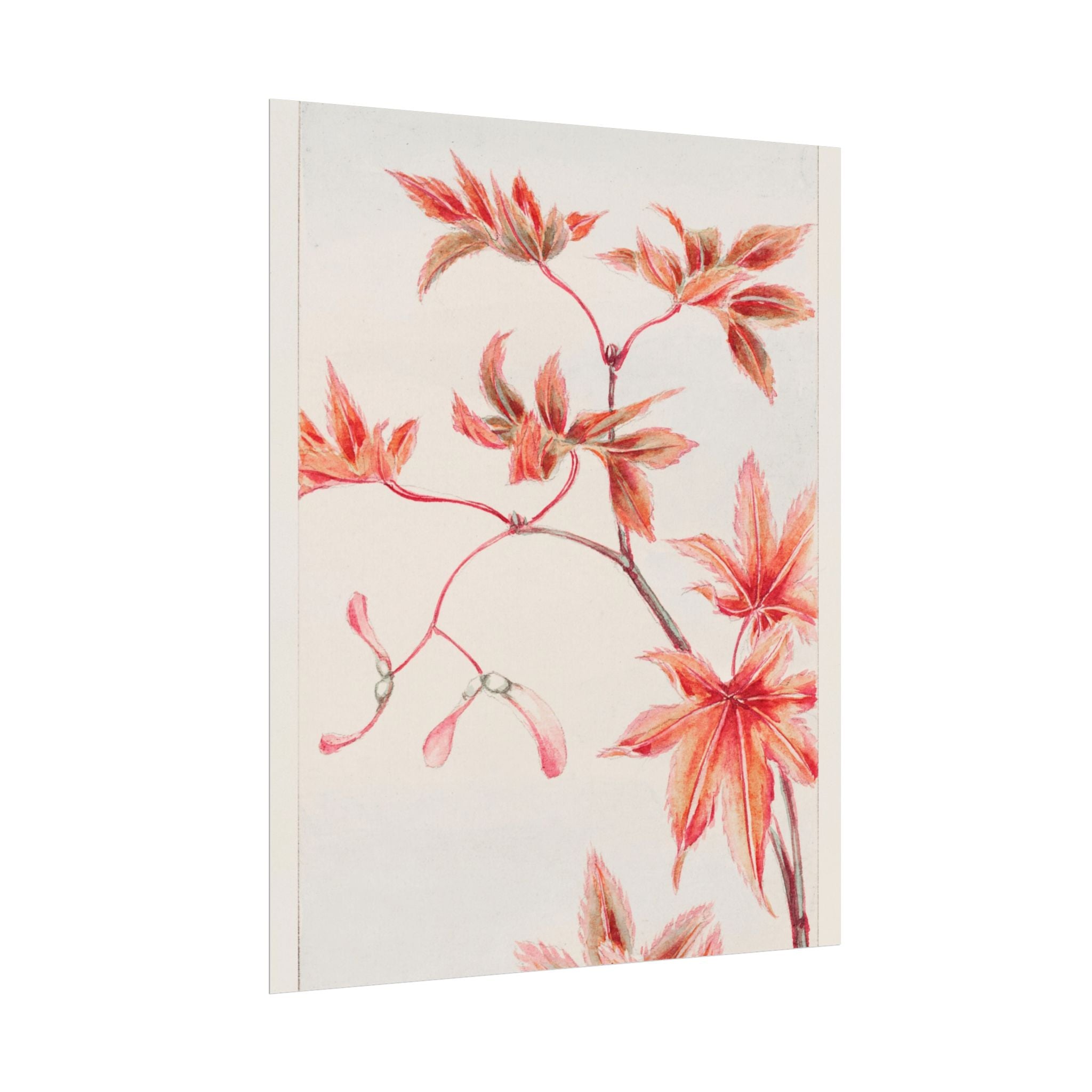 poster-print-branch-of-momiji-maple-tree-with-leaves-floral-wall-art-rolled-posters-wall-decor-room-decoration-nature-art-bot