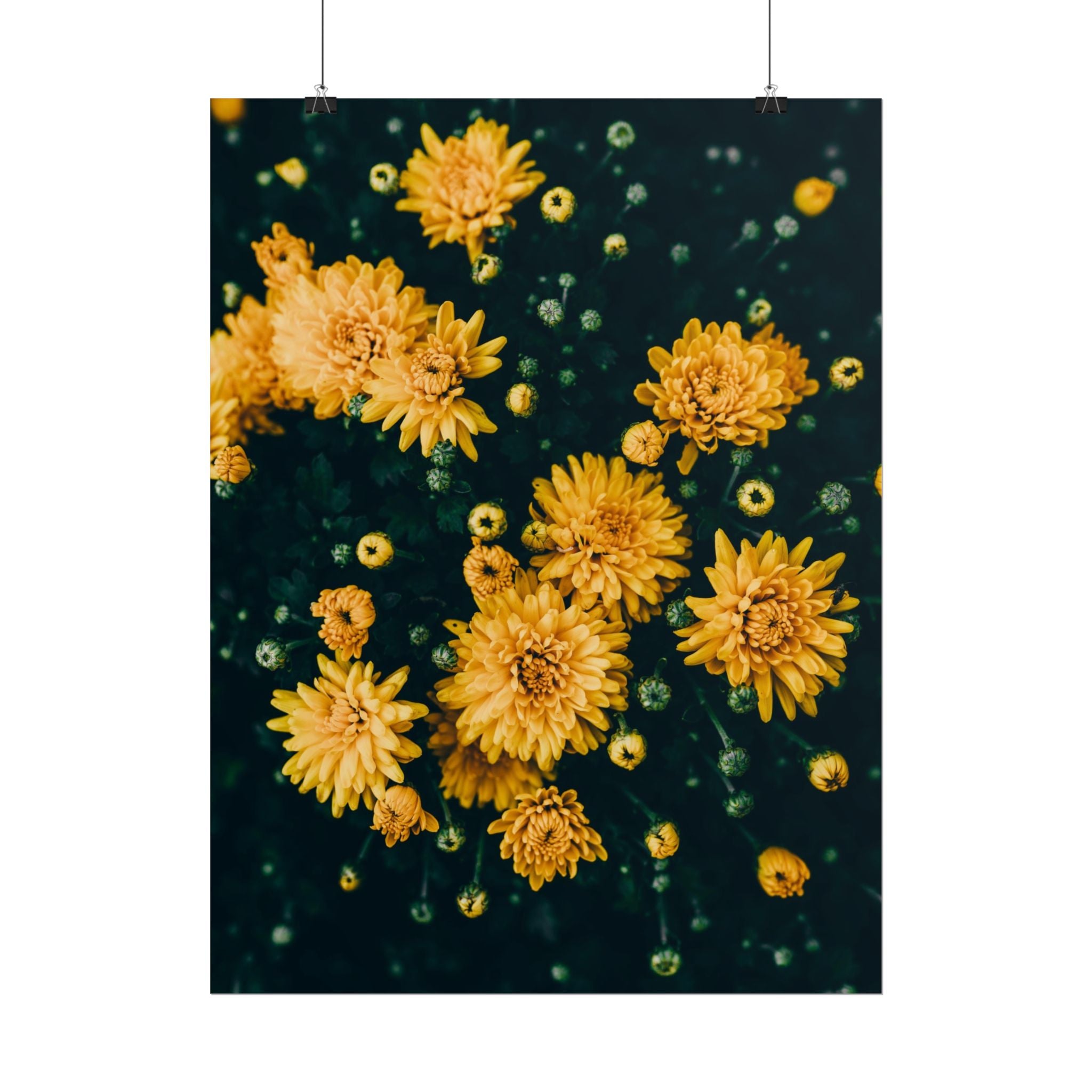 yellow-flower-art-poster-print-floral-wall-decor-floral-home-decor-gift-dark-botanical-art-print