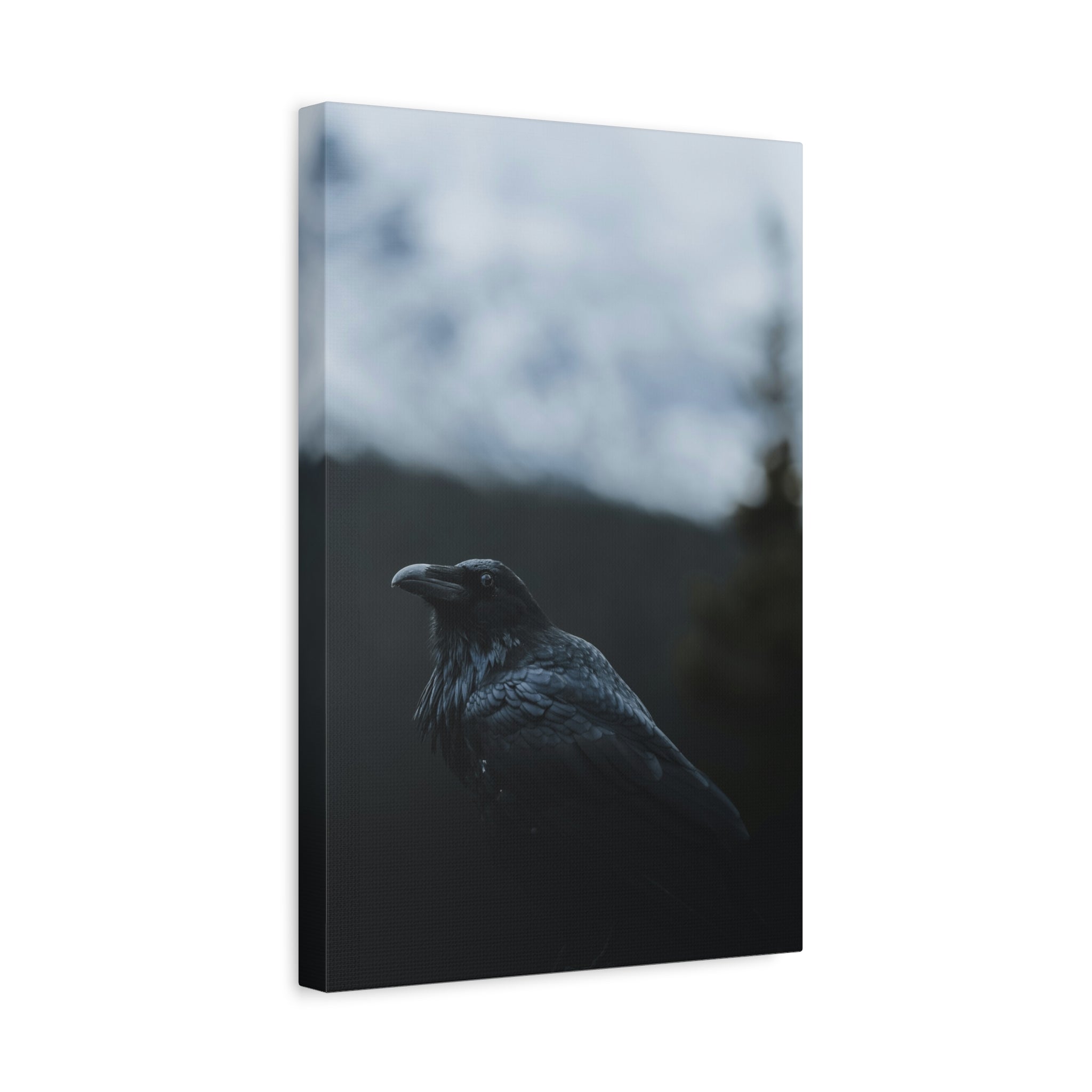 raven-canvas-print-raven-decor-matte-stretched-wall-art-bird-lover-gift-gothic-home-decor-halloween-picture-raven-art-print-1