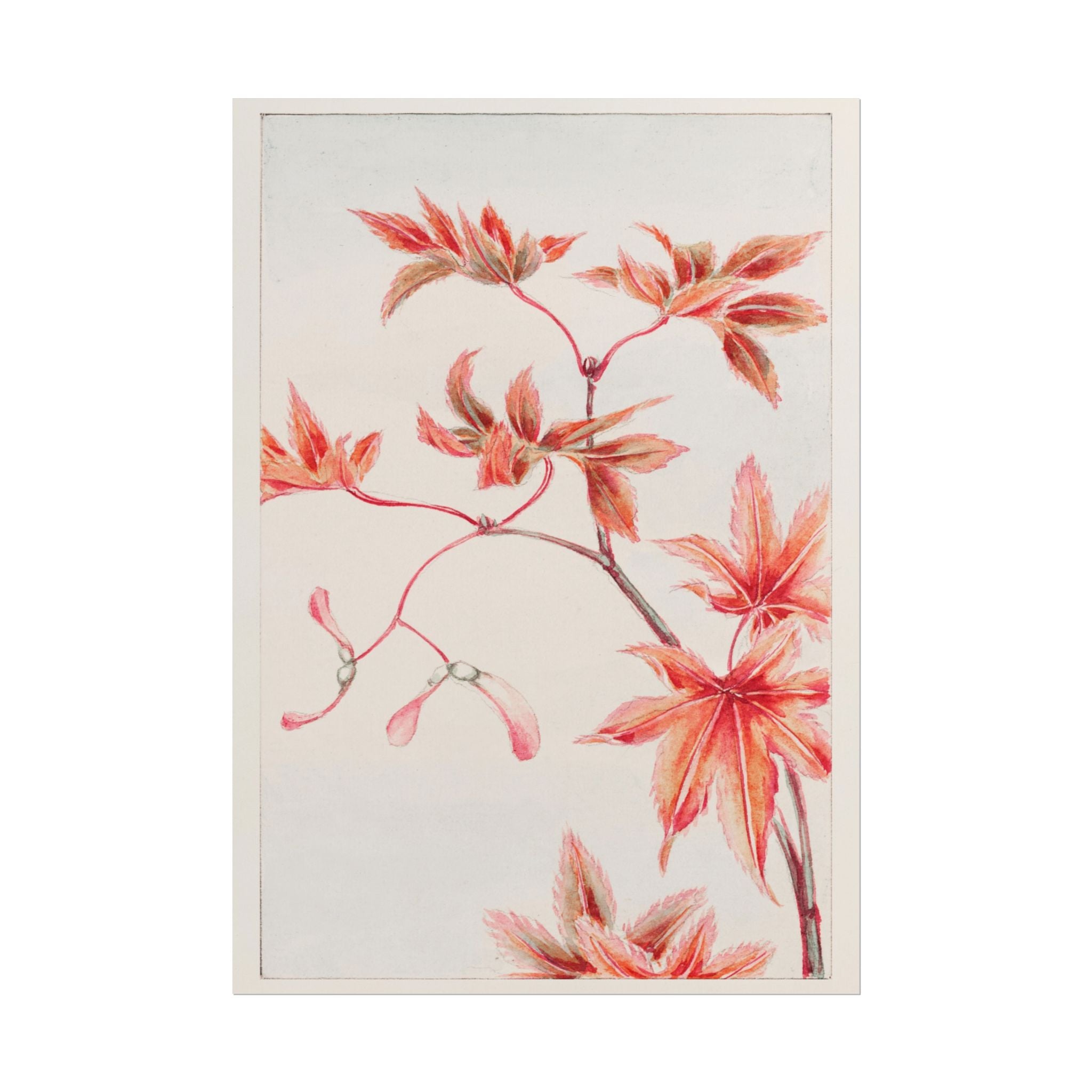 poster-print-branch-of-momiji-maple-tree-with-leaves-floral-wall-art-rolled-posters-wall-decor-room-decoration-nature-art-bot