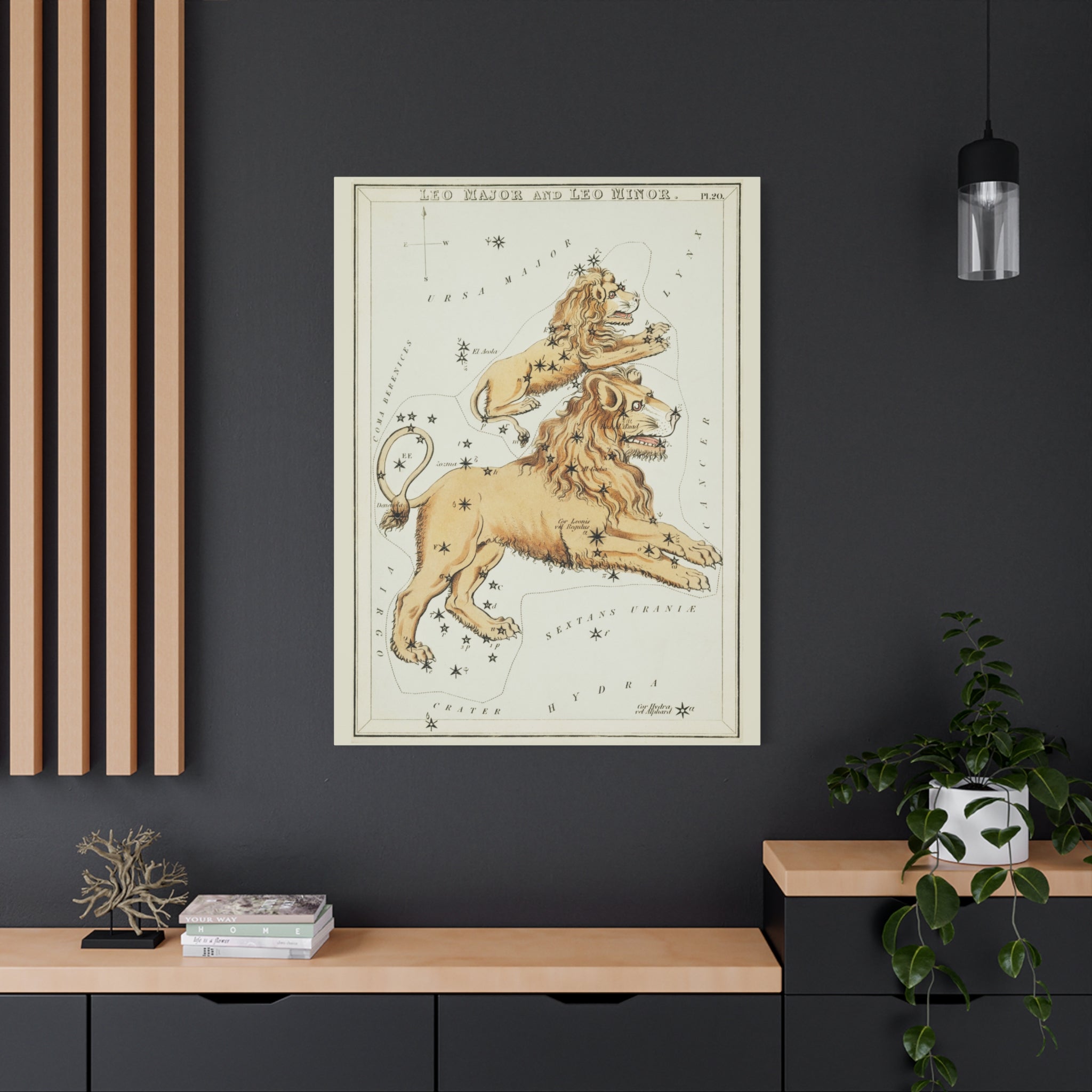 canvas-print-star-map-leo-major-leo-minor-celestial-gift-vintage-map-celestial-map-wall-art-decor-astronomy-decor-constellati