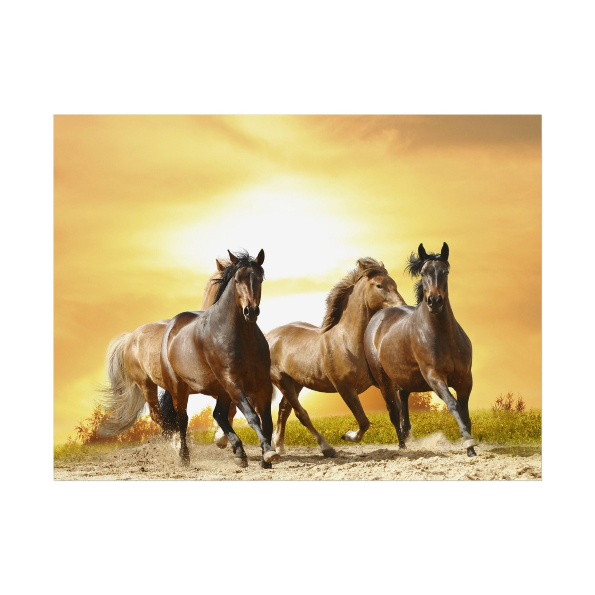 running-horse-poster-wall-art-farmhouse-wall-decor-home-decor-housewarming-gift-horse-print-wall-print-wild-animals