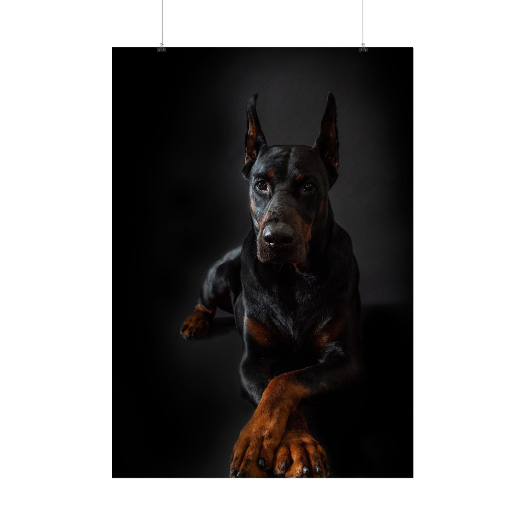doberman-pincher-poster-print-rolled-posters-wall-art-home-decor-dog-lover-gift-animal-art-room-decoration