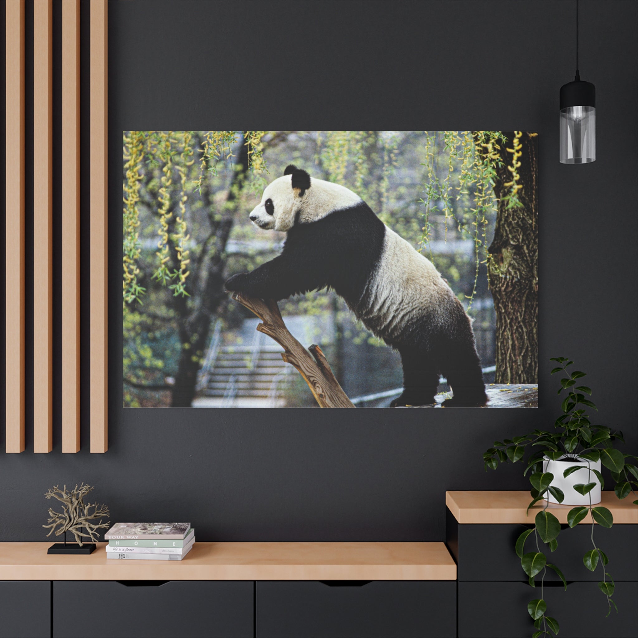 canvas-wall-art-cute-panda-wall-decor-nature-home-decor-panda-gift-panda-canvas-print-stretched-matte-canvas