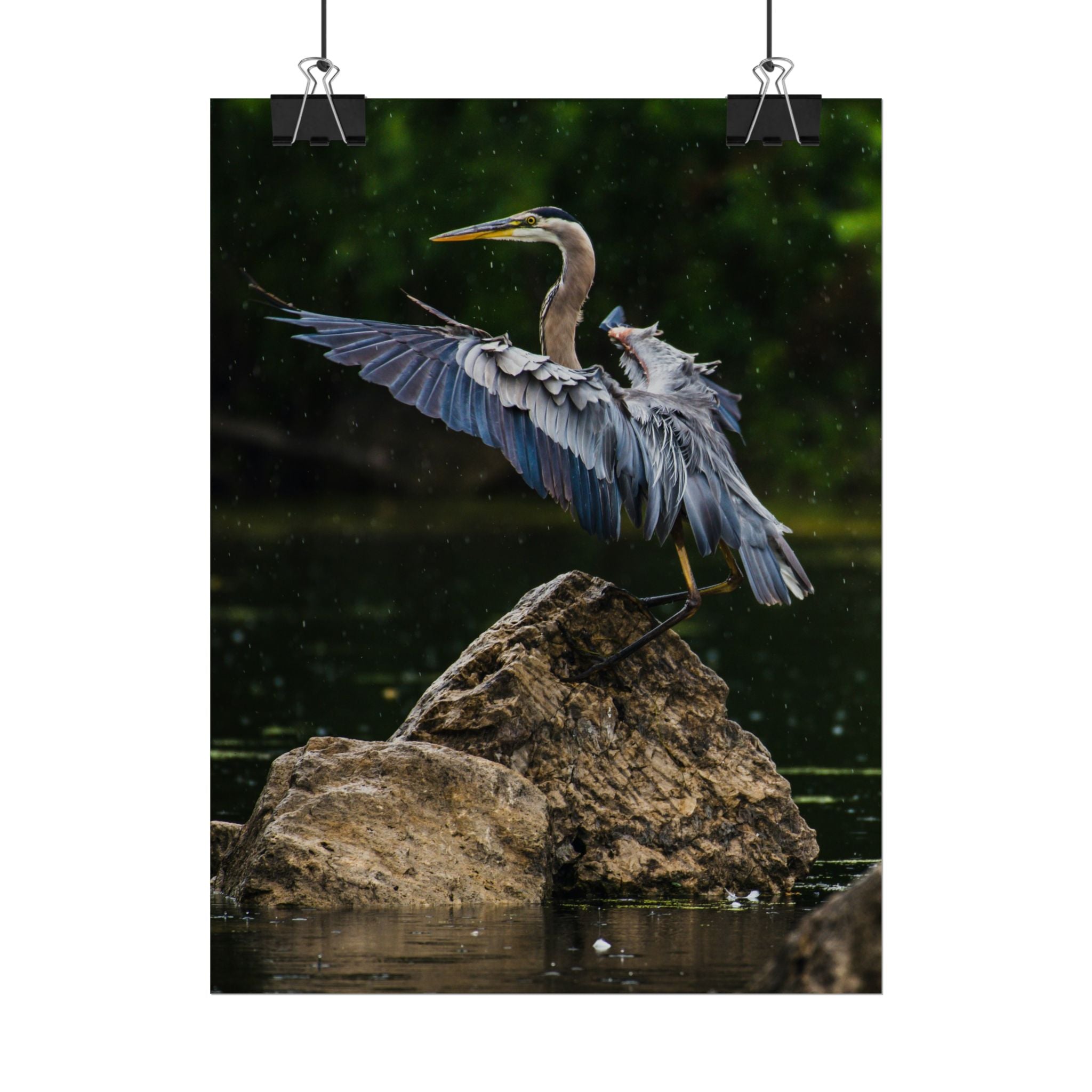 great-blue-heron-poster-wall-art-home-decor-bird-lover-gift-nature-wall-hanging-wildlife-poster