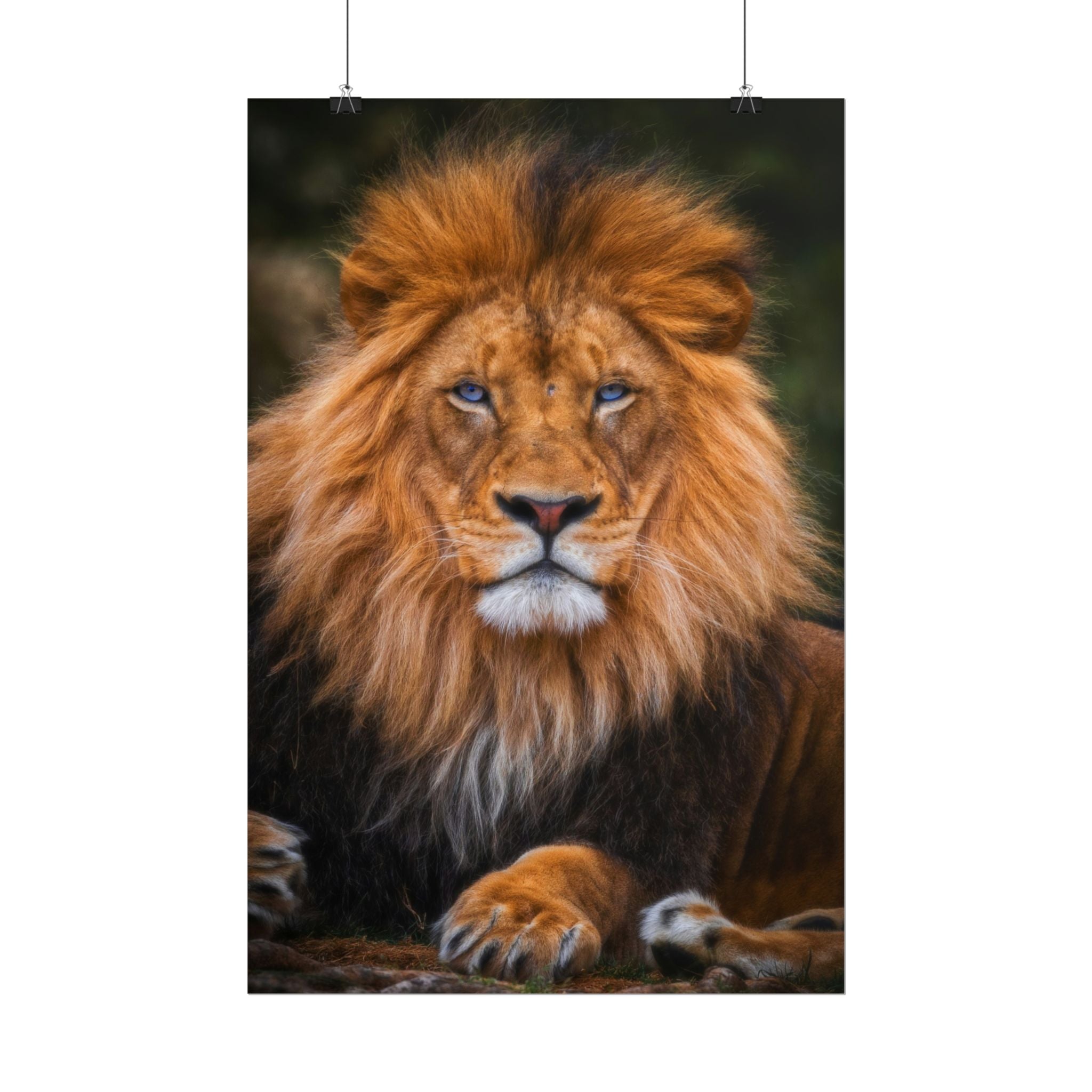 blue-eyed-lion-poster-wall-art-wildlife-home-decor-animal-lover-gift-safari-decoration-wildlife-art-print-lion-wall-decor
