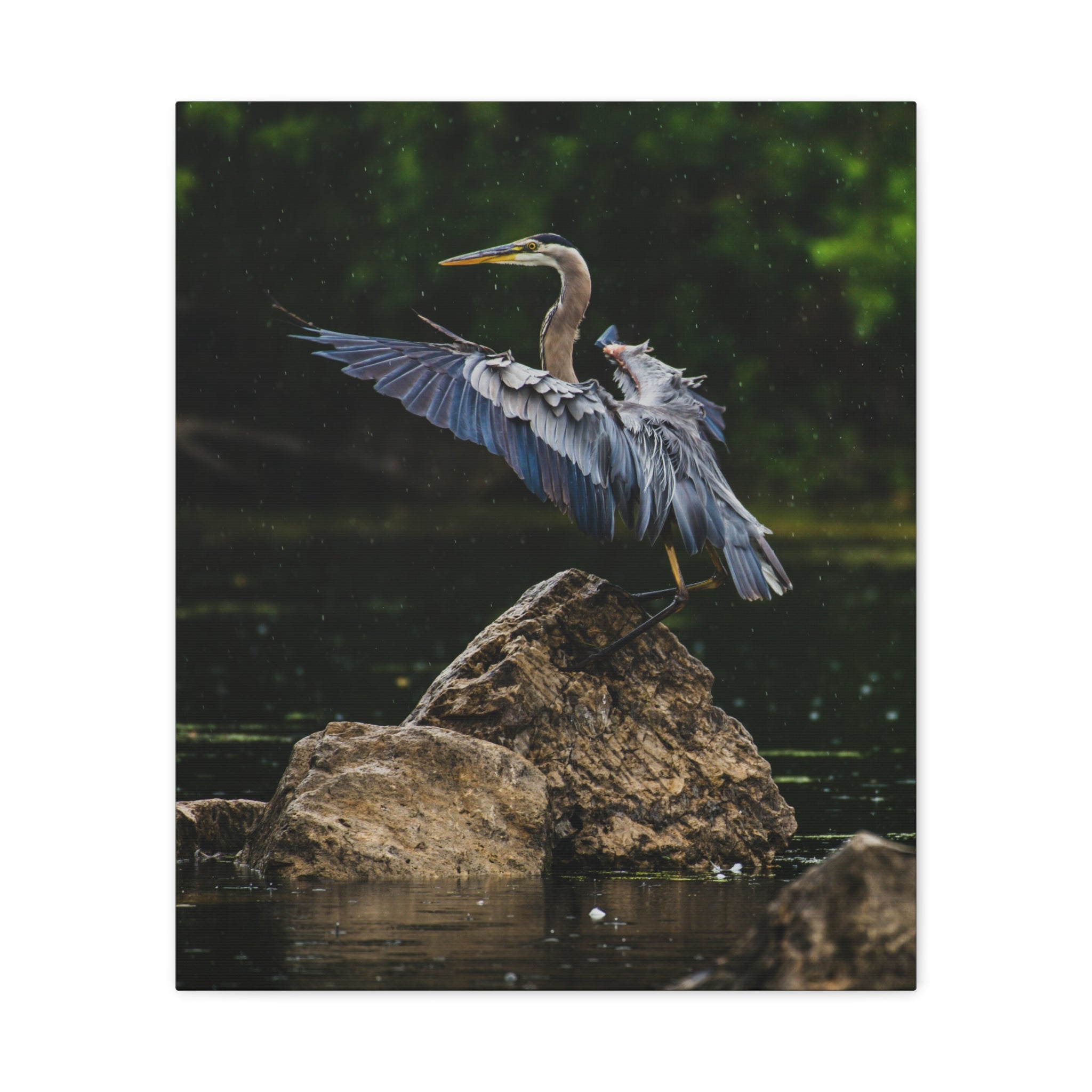 canvas-print-wall-art-great-blue-heron-matte-canvas-stretched-home-decor-bird-lover-gift-nature-wall-hanging-wildlife