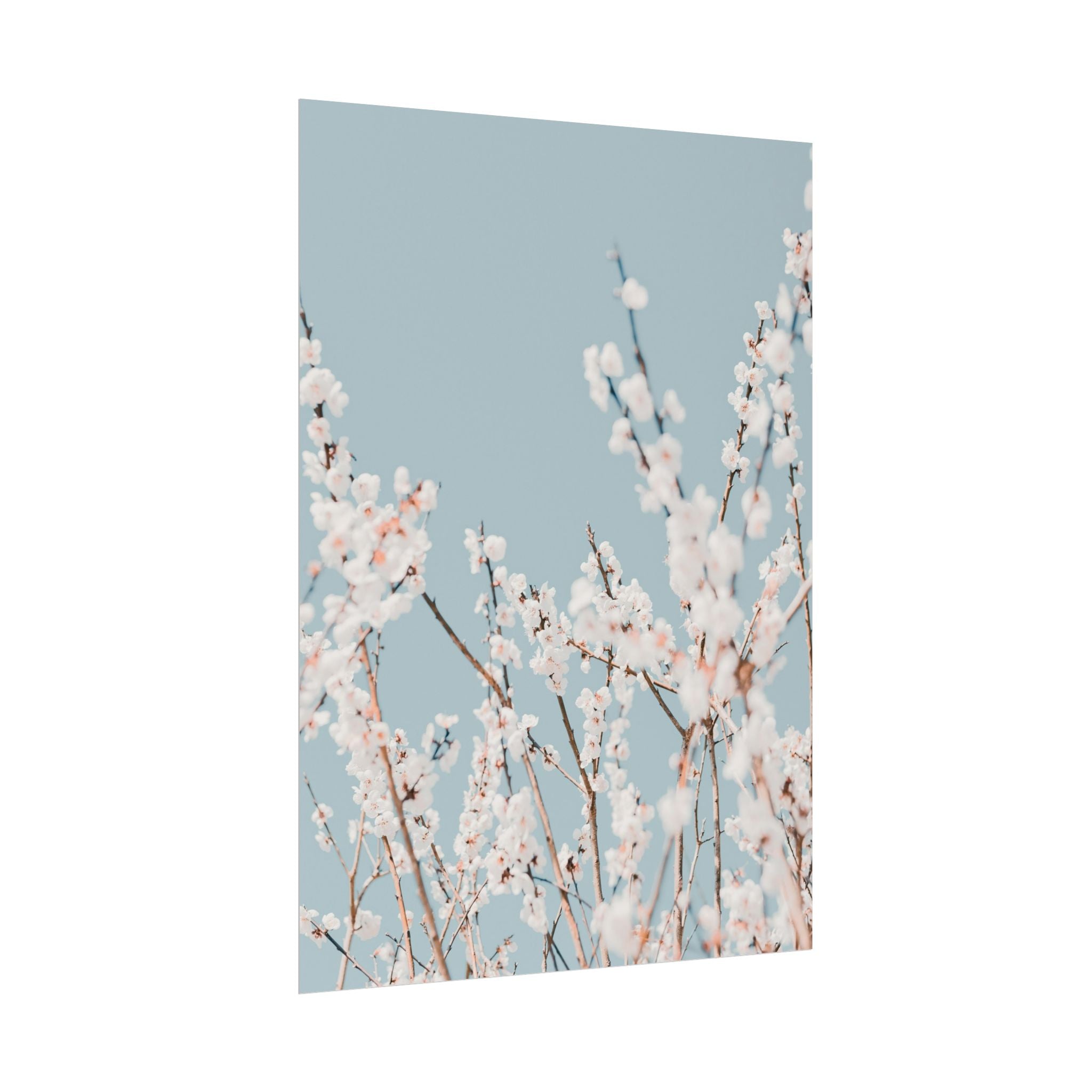 blossom-flowers-poster-print-minimalist-aesthetic-wall-art-fine-art-paper-home-decor-floral-decor-elegant-artwork