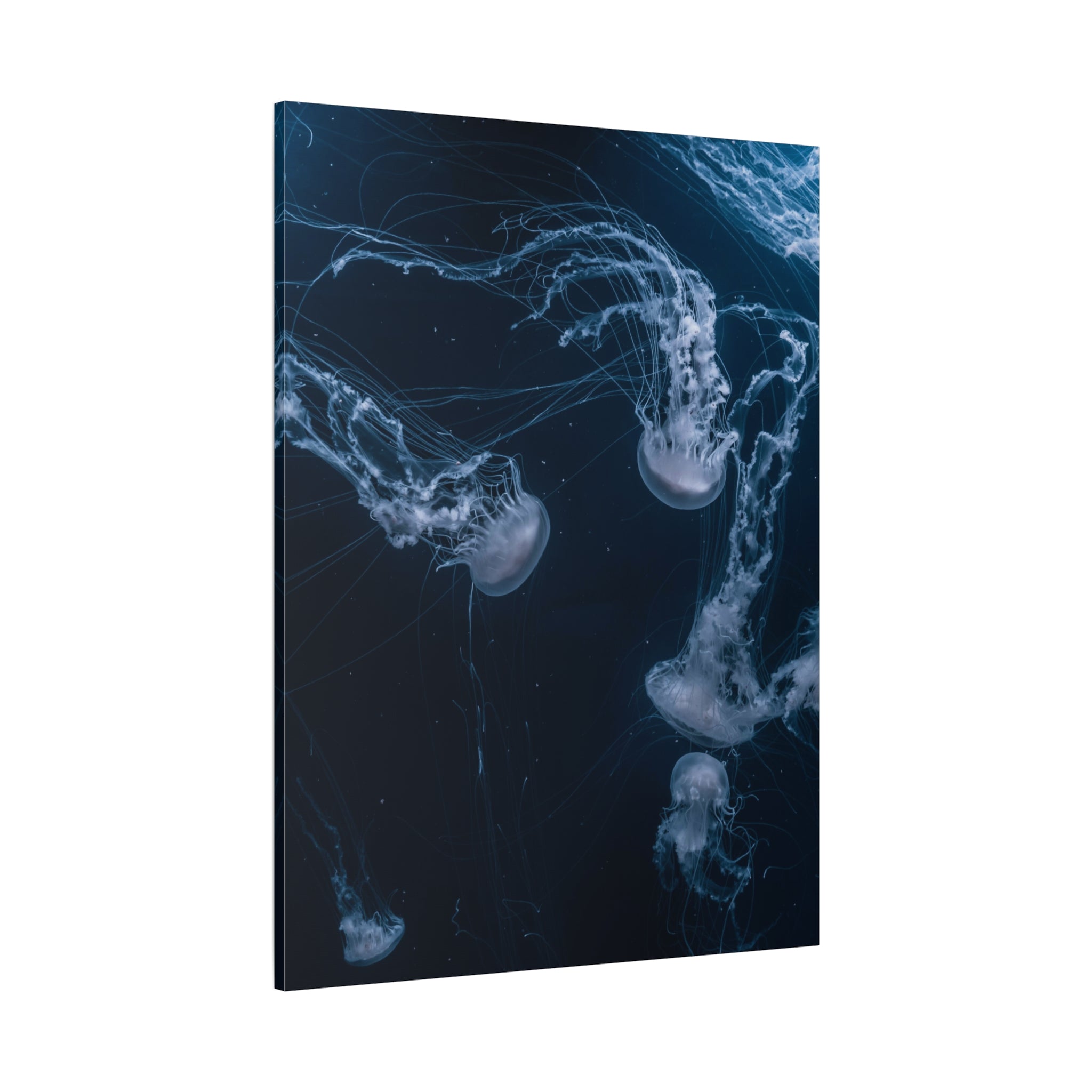canvas-print-jellyfish-wall-art-wall-hanging-matte-canvas-ocean-life-deep-ocean-decor-home-decor-housewarming-gift