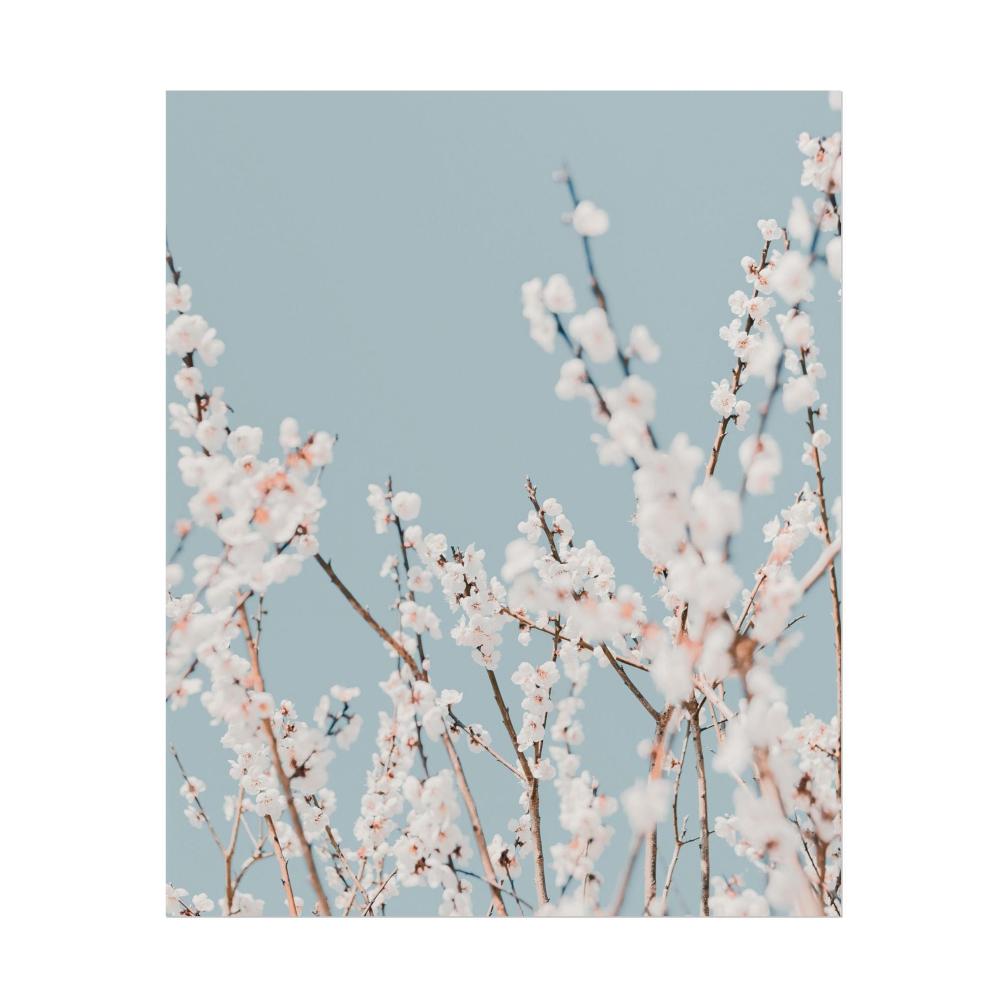 blossom-flowers-poster-print-minimalist-aesthetic-wall-art-fine-art-paper-home-decor-floral-decor-elegant-artwork